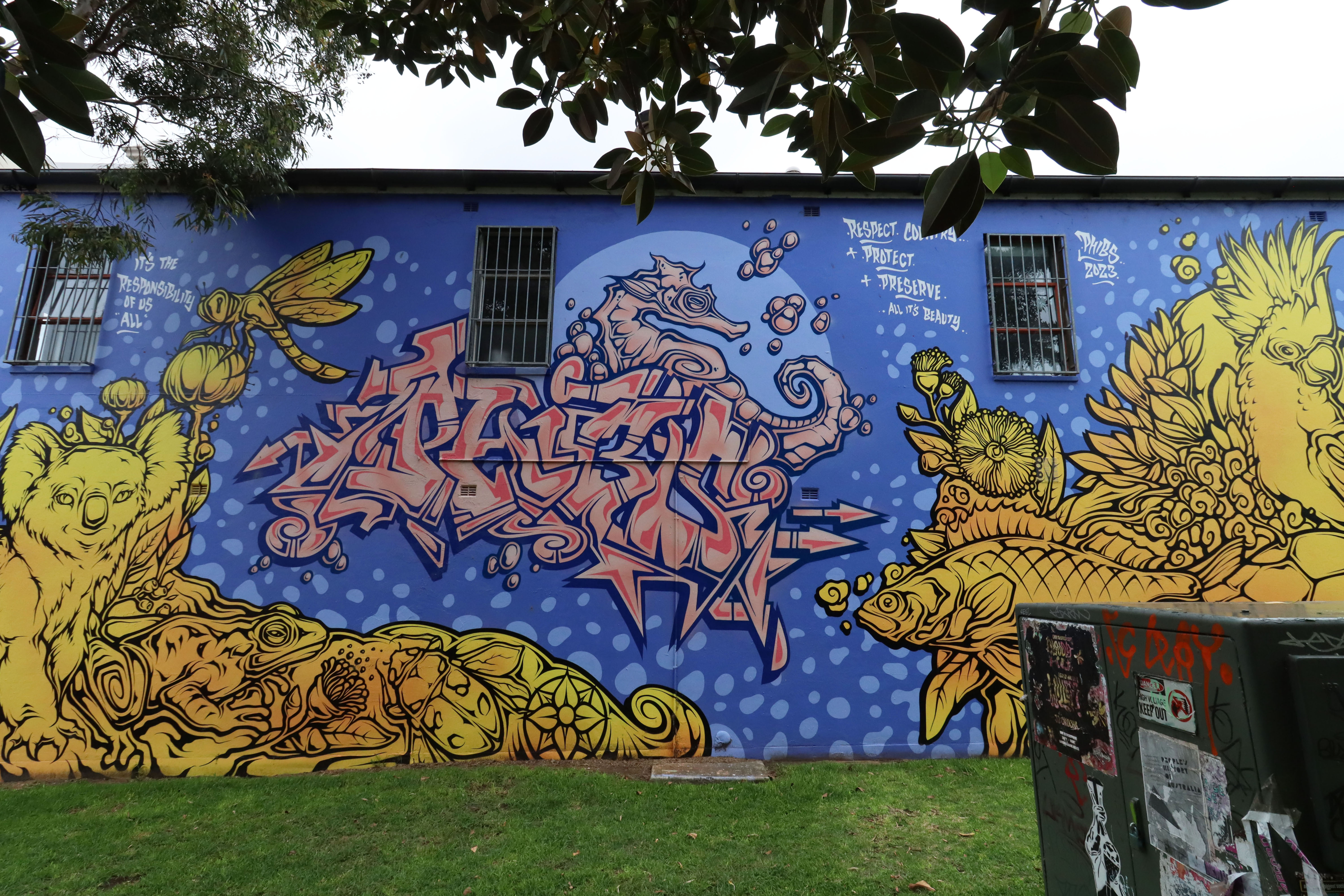Welcome to Gadigal Land by Phibs | Street Art NSW
