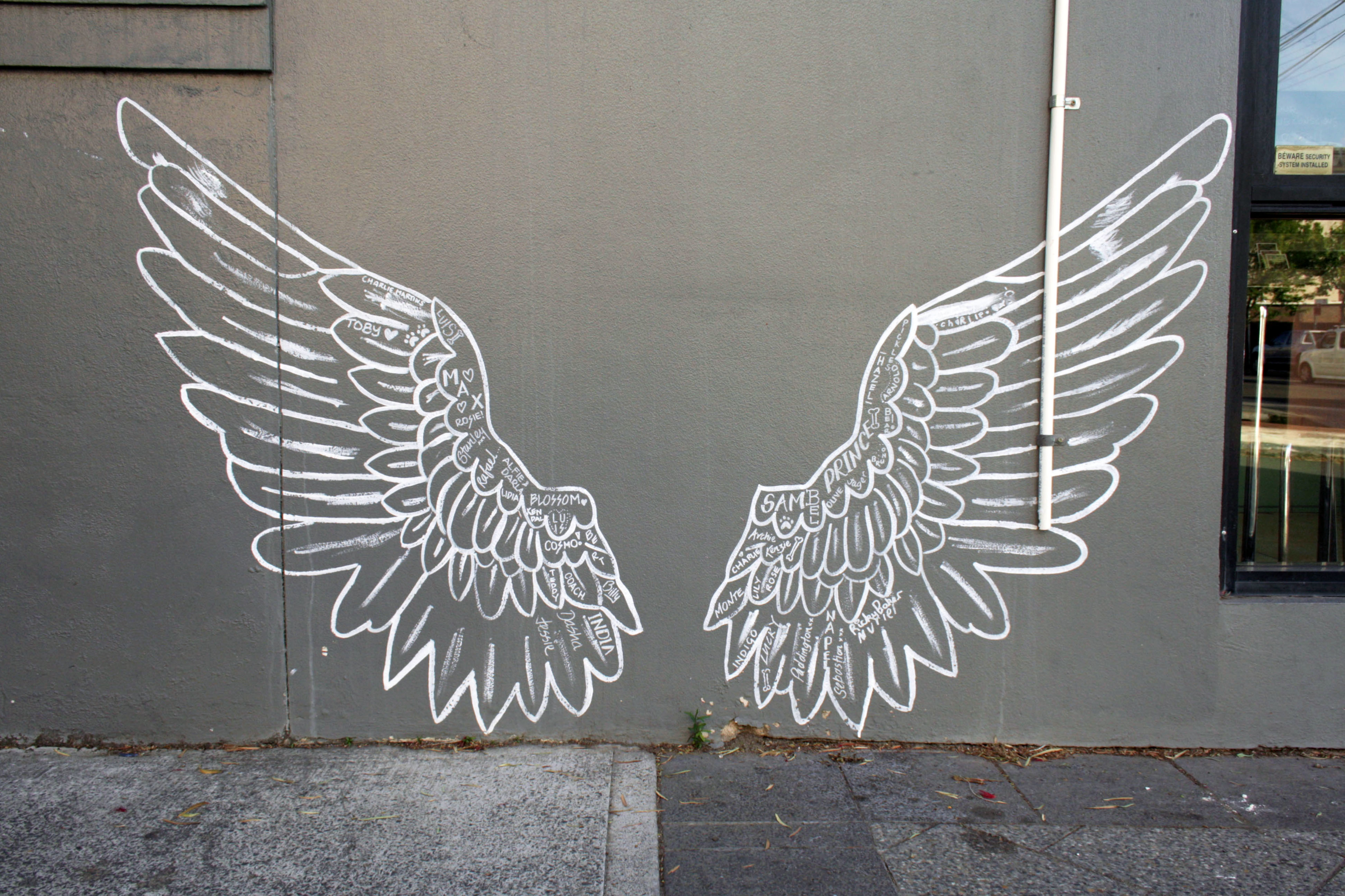 Untitled | Street Art NSW