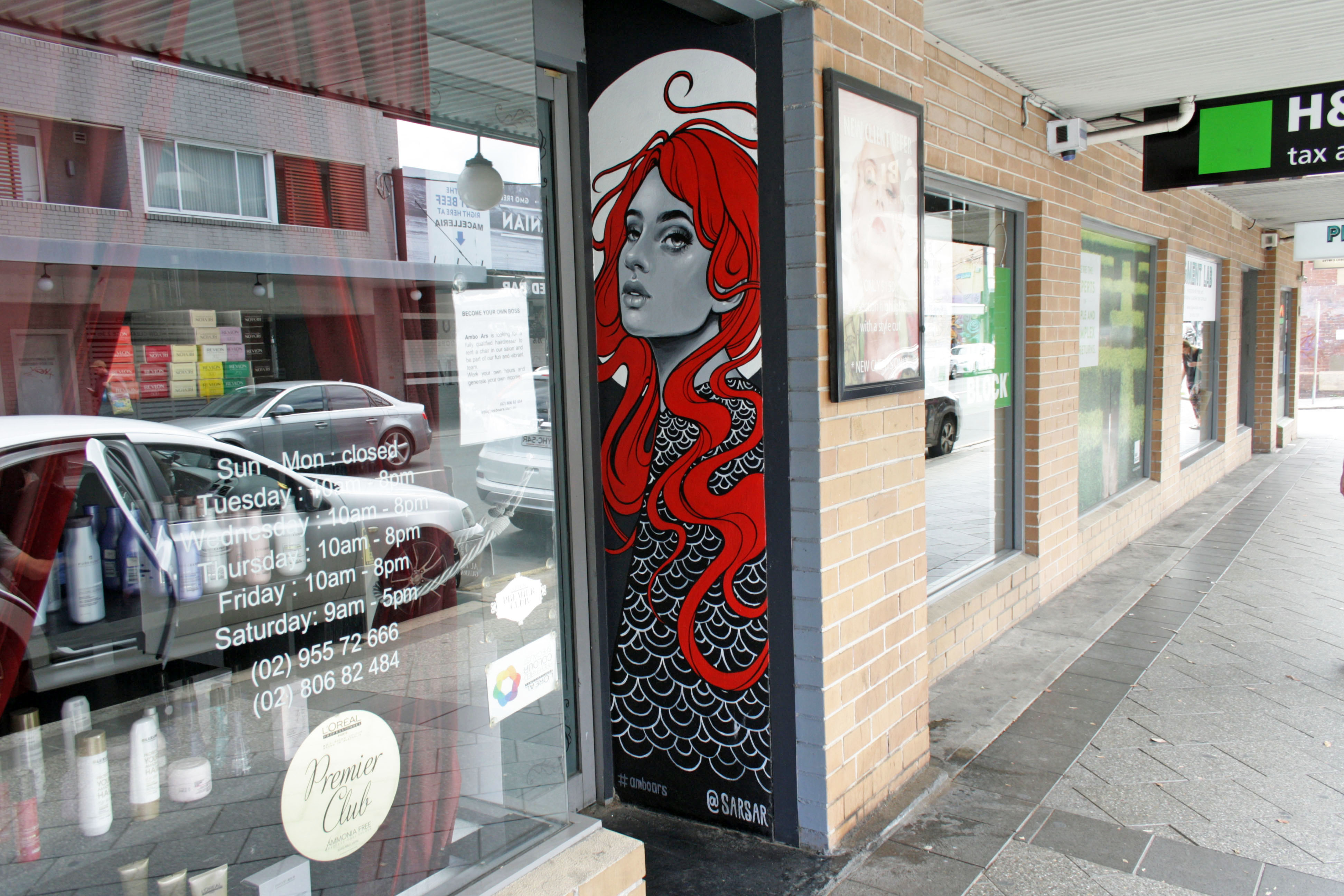 Untitled by Sarah McCloskey | Street Art NSW