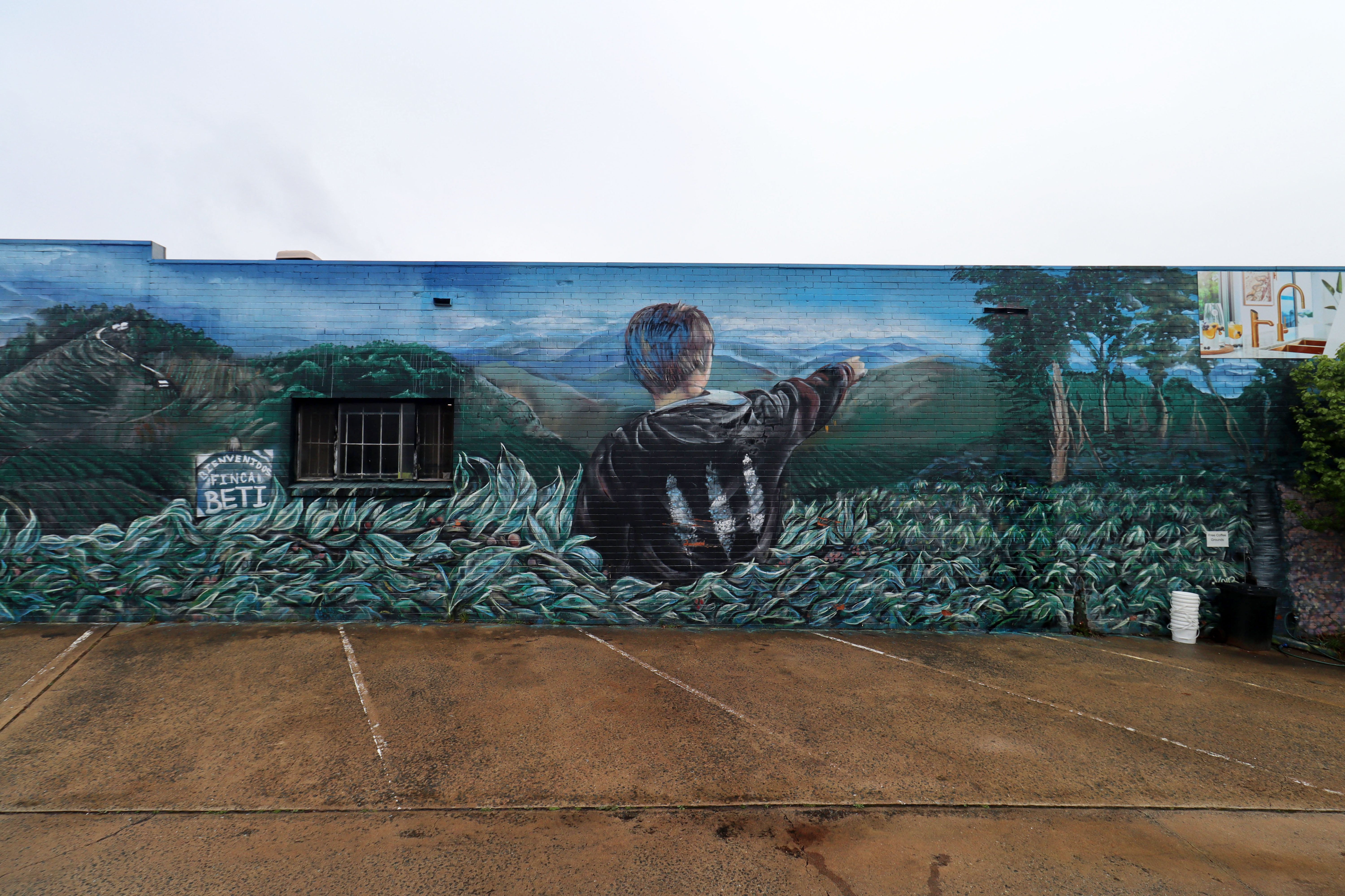 ONA Coffee House by John VOIR | Street Art NSW