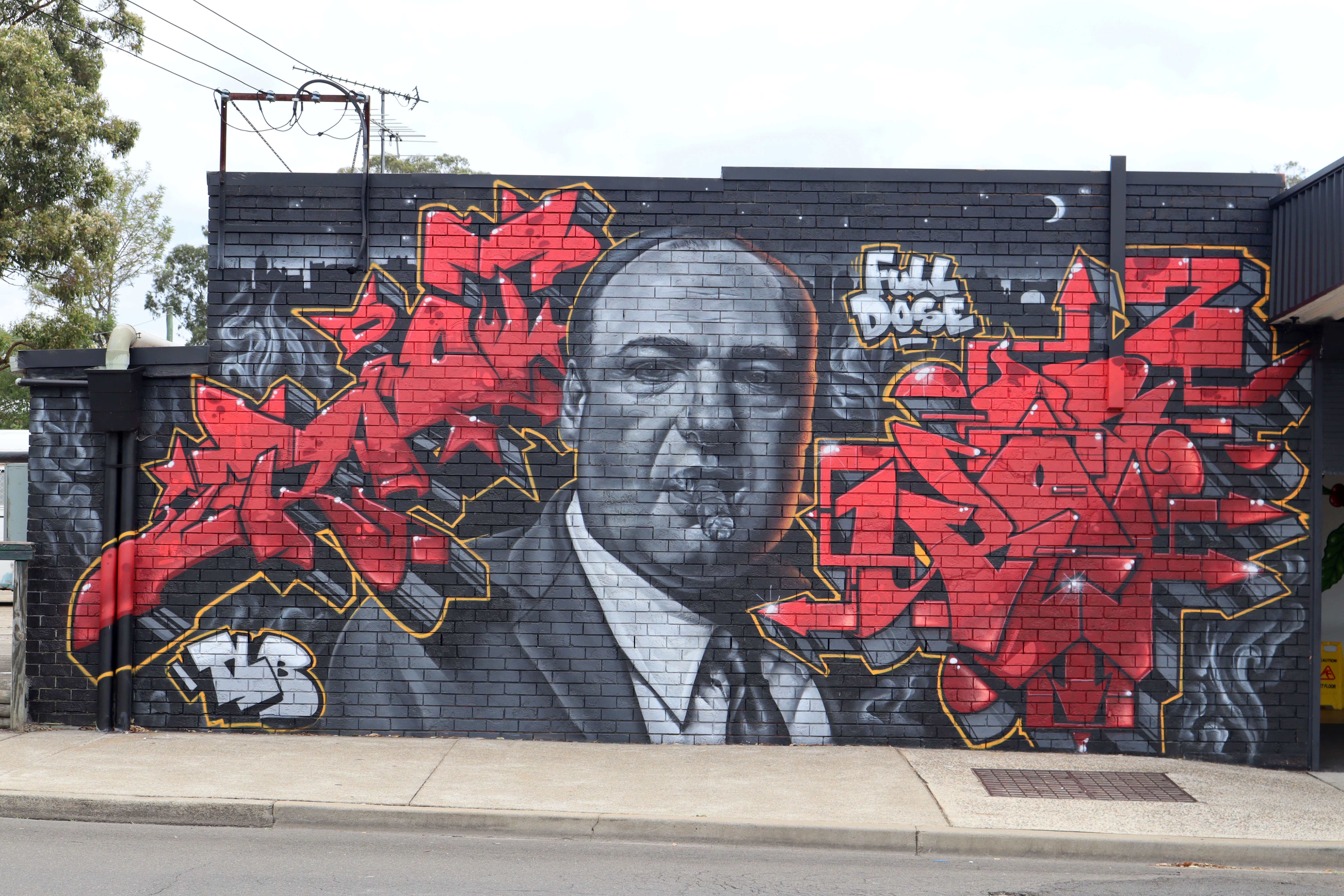 Tony Soprano by Riots One | Street Art NSW