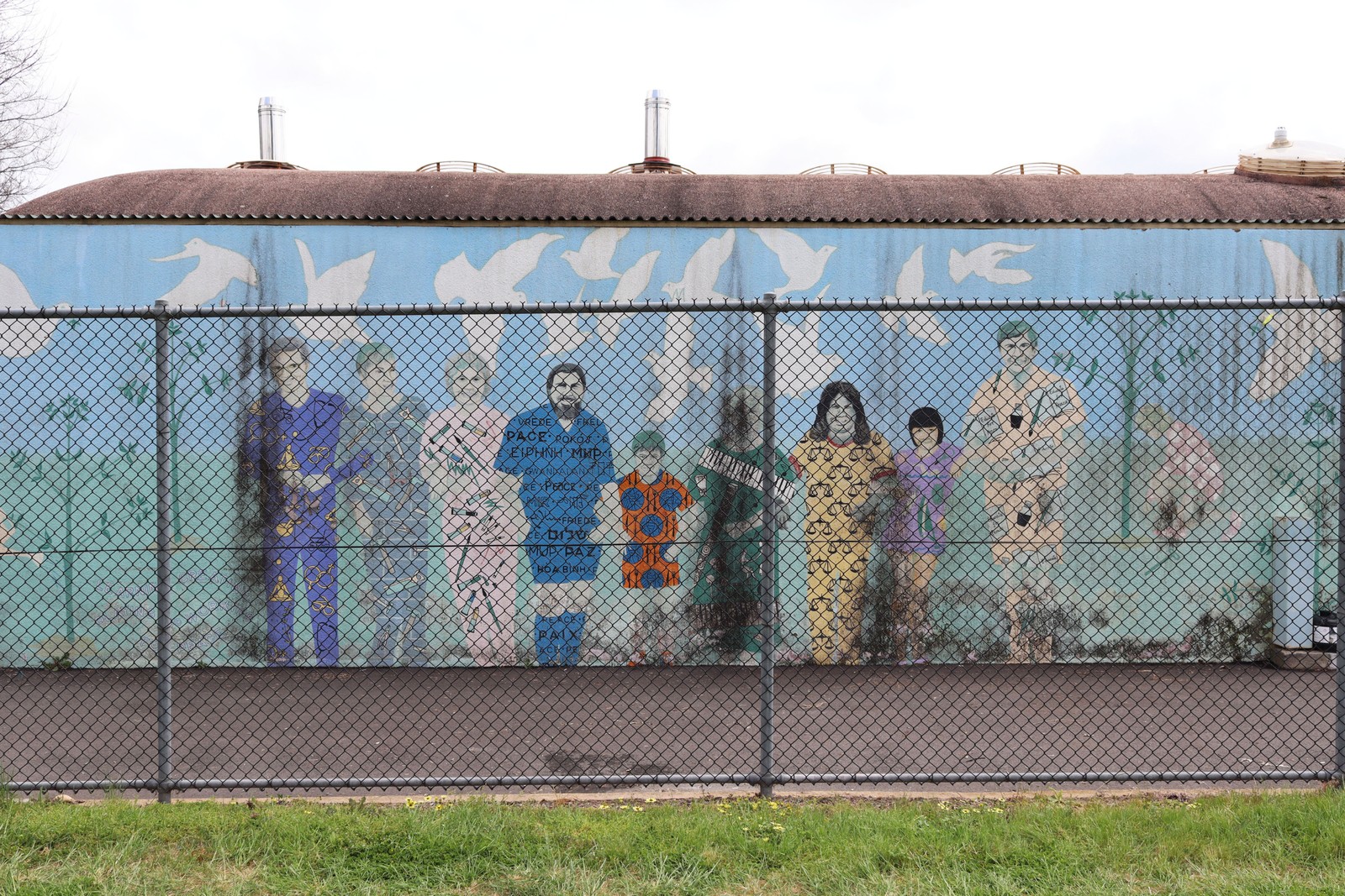 Untitled | Street Art NSW