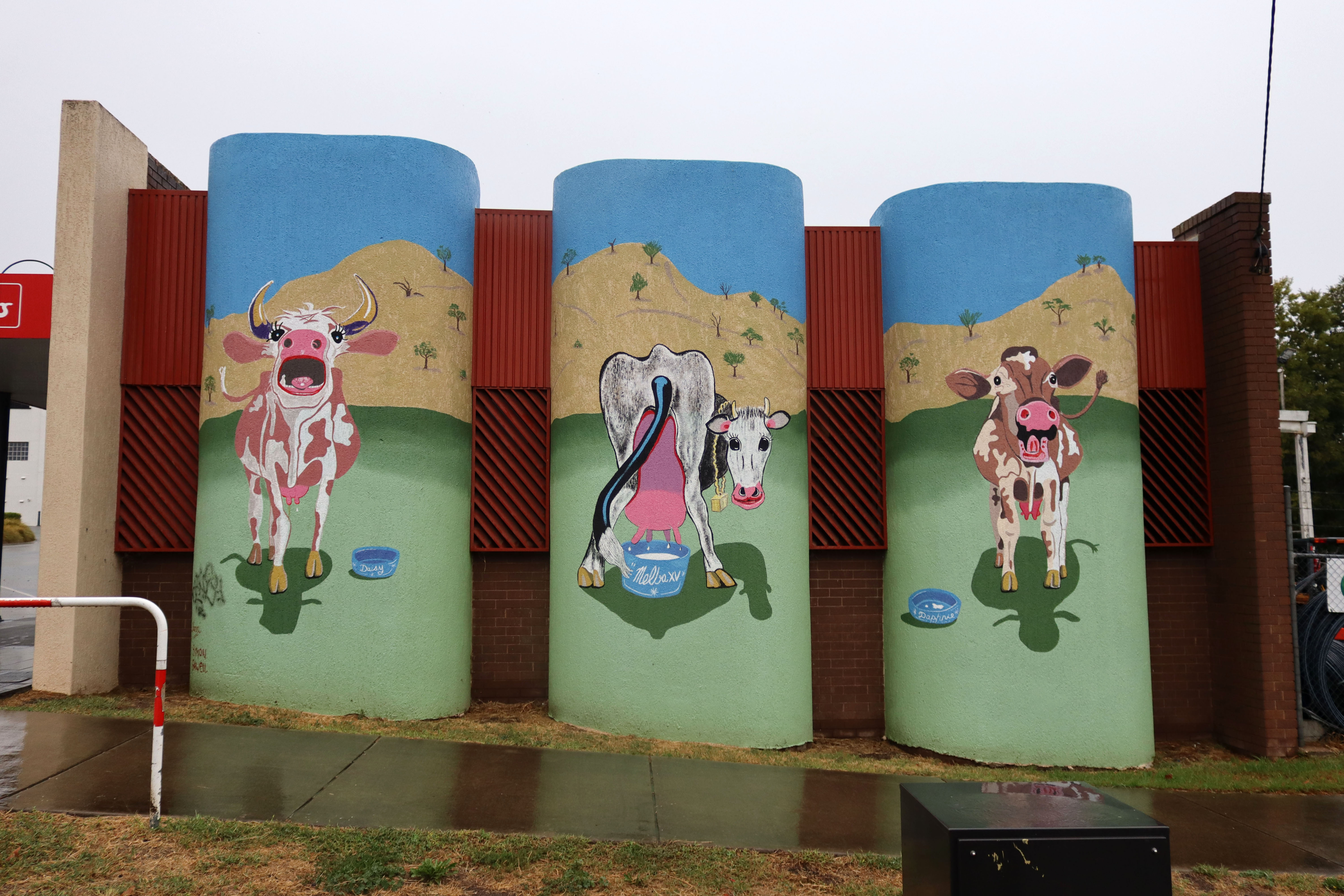 Gundagai Girls/Three Sisters of Gundagai by Yianni Johns | Street Art NSW