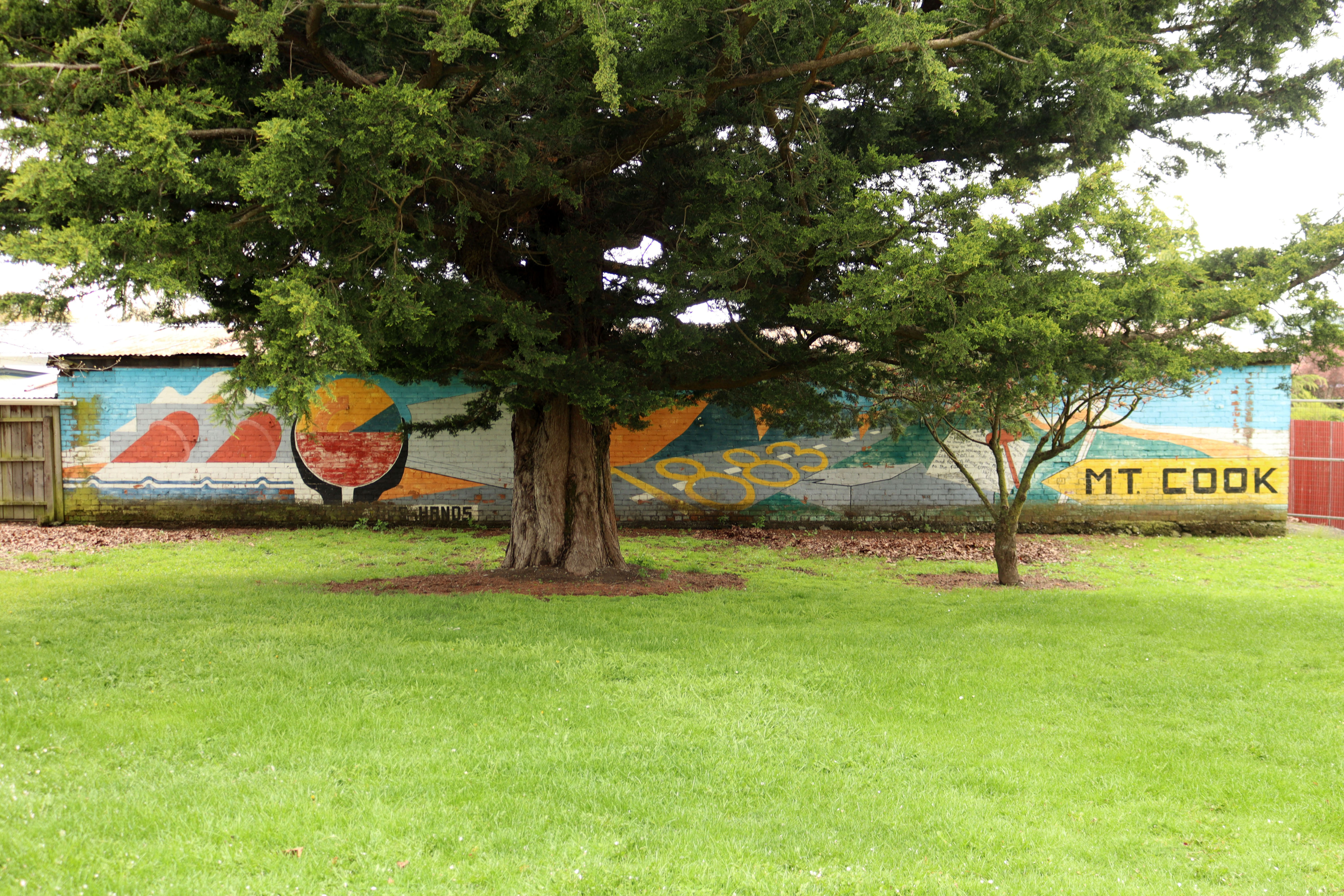 Untitled by Clive Paterson | Street Art NSW
