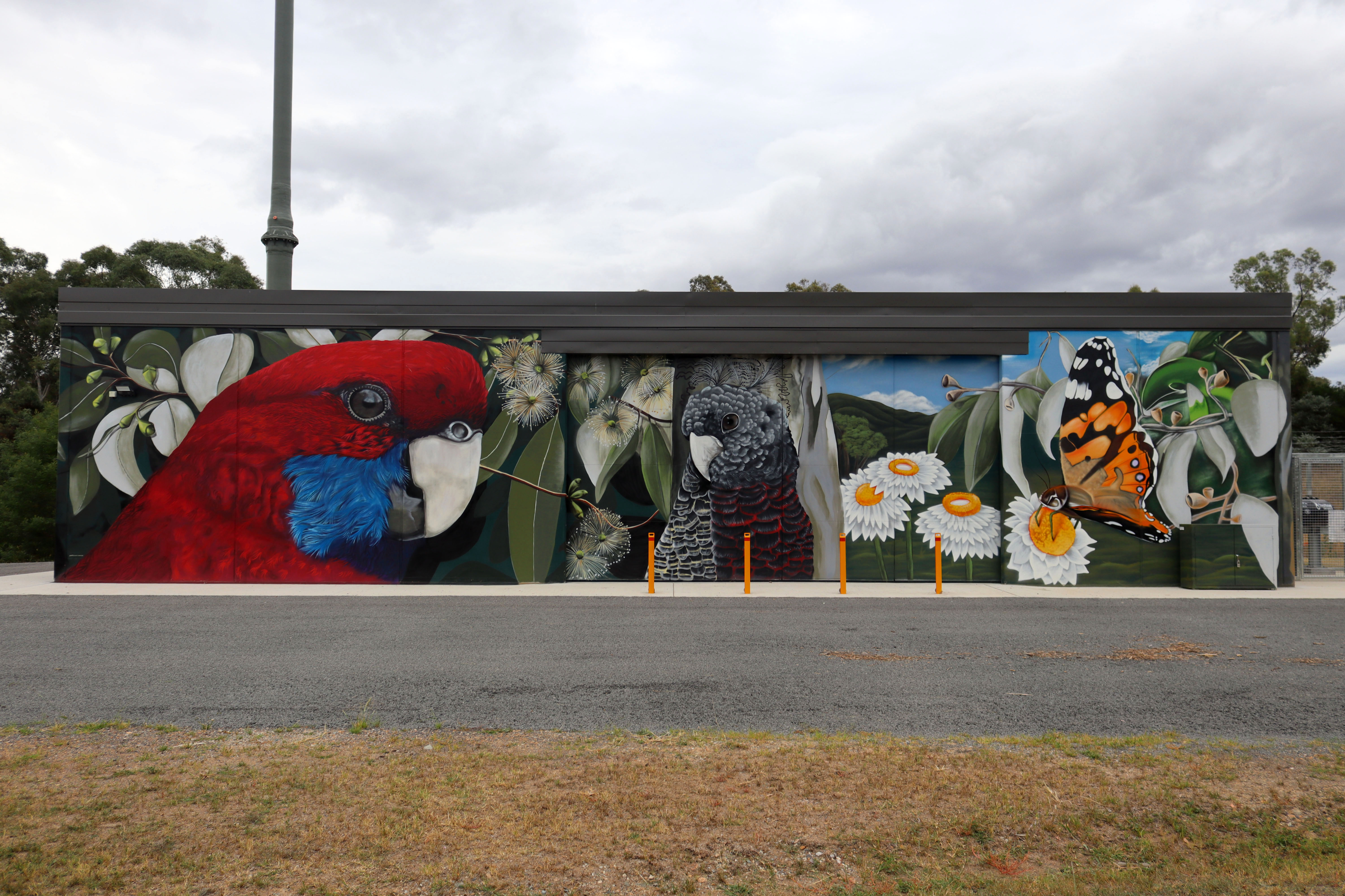Untitled by GraffikPaint | Street Art NSW