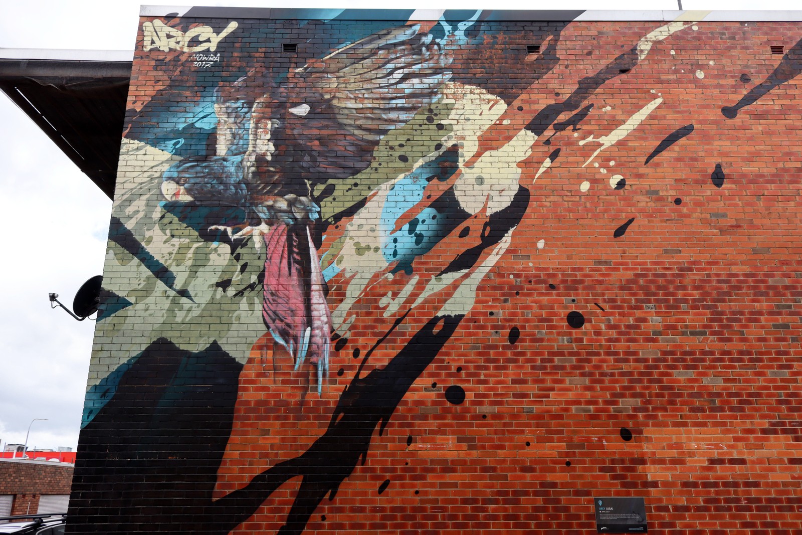 The Red-Tailed Black Cockatoo by Arcy | Street Art NSW