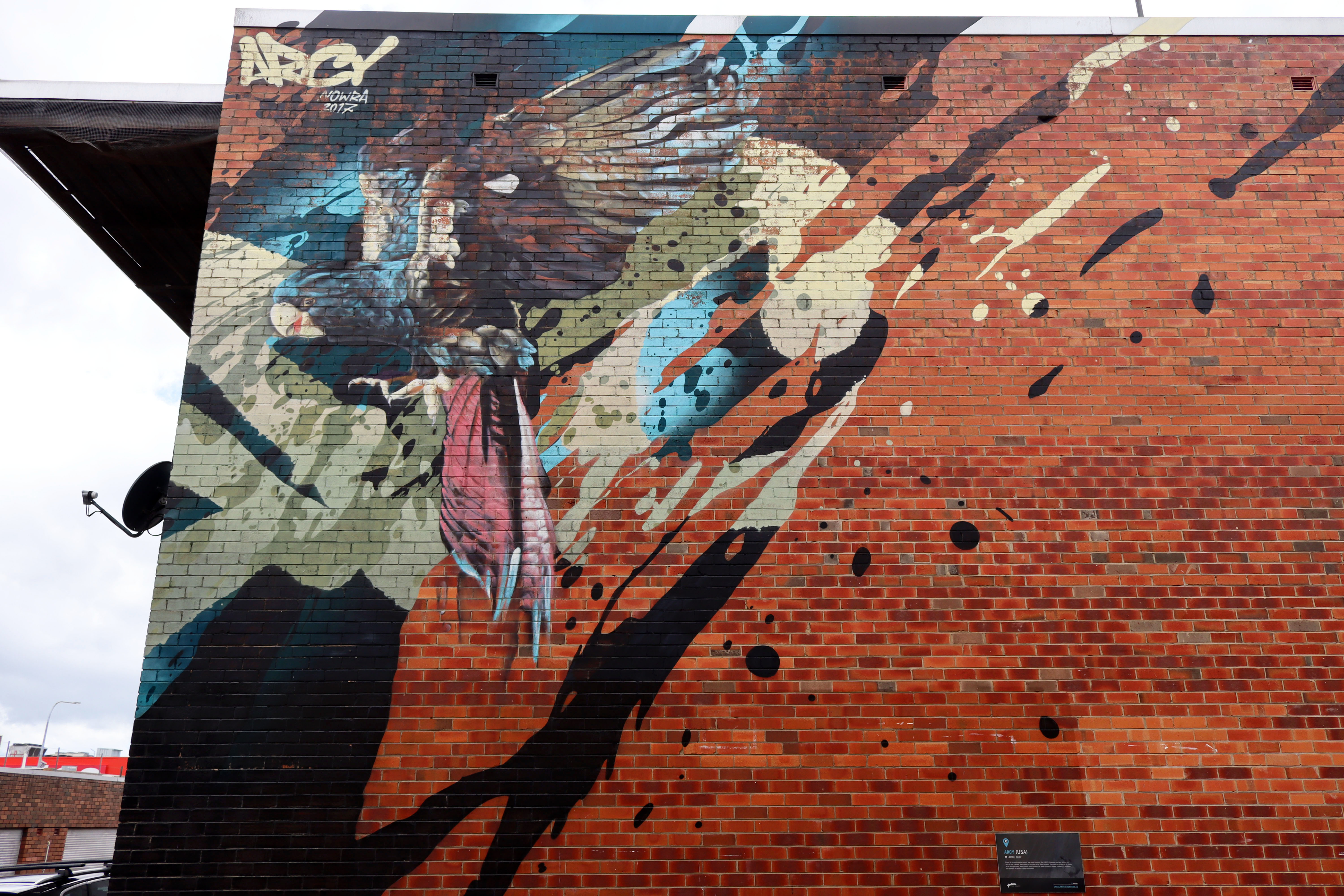 The Red-Tailed Black Cockatoo by Arcy | Street Art NSW