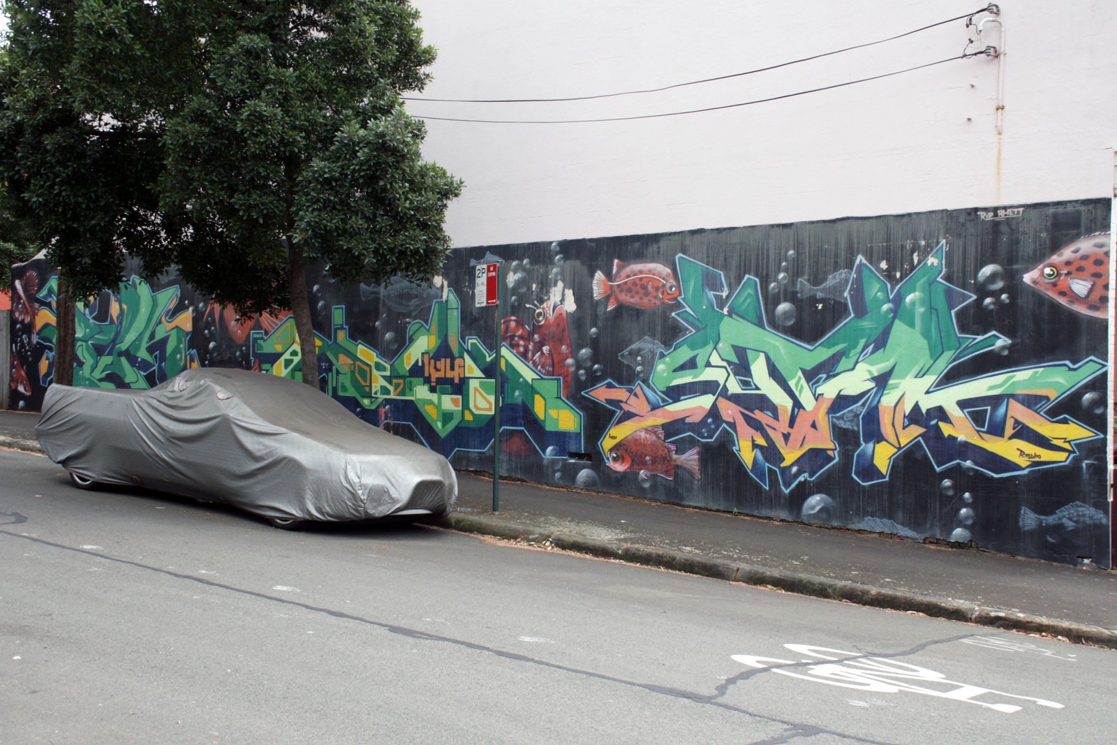 Fishy Business by Brick | Street Art NSW
