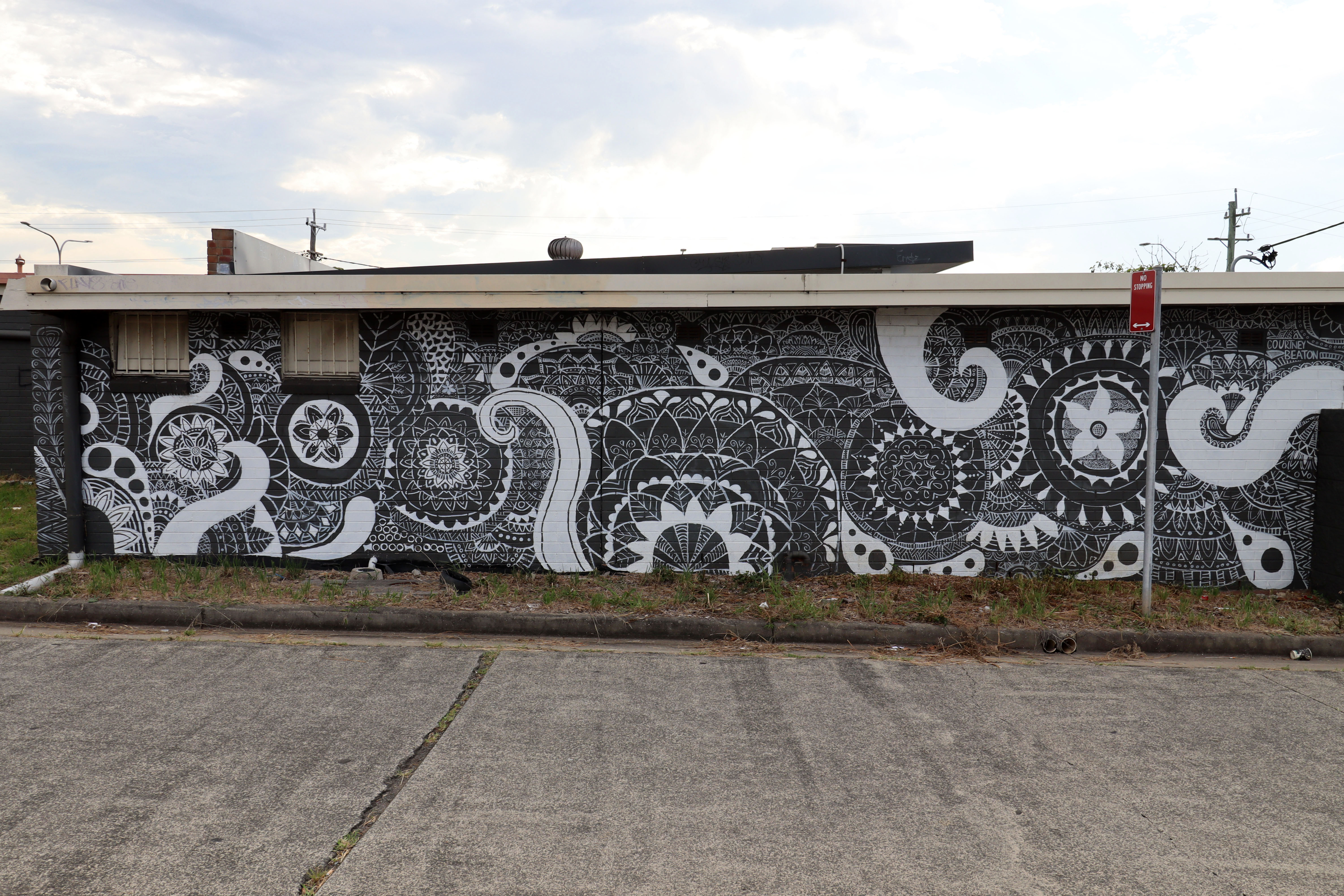 Untitled by Courtney Beaton | Street Art NSW