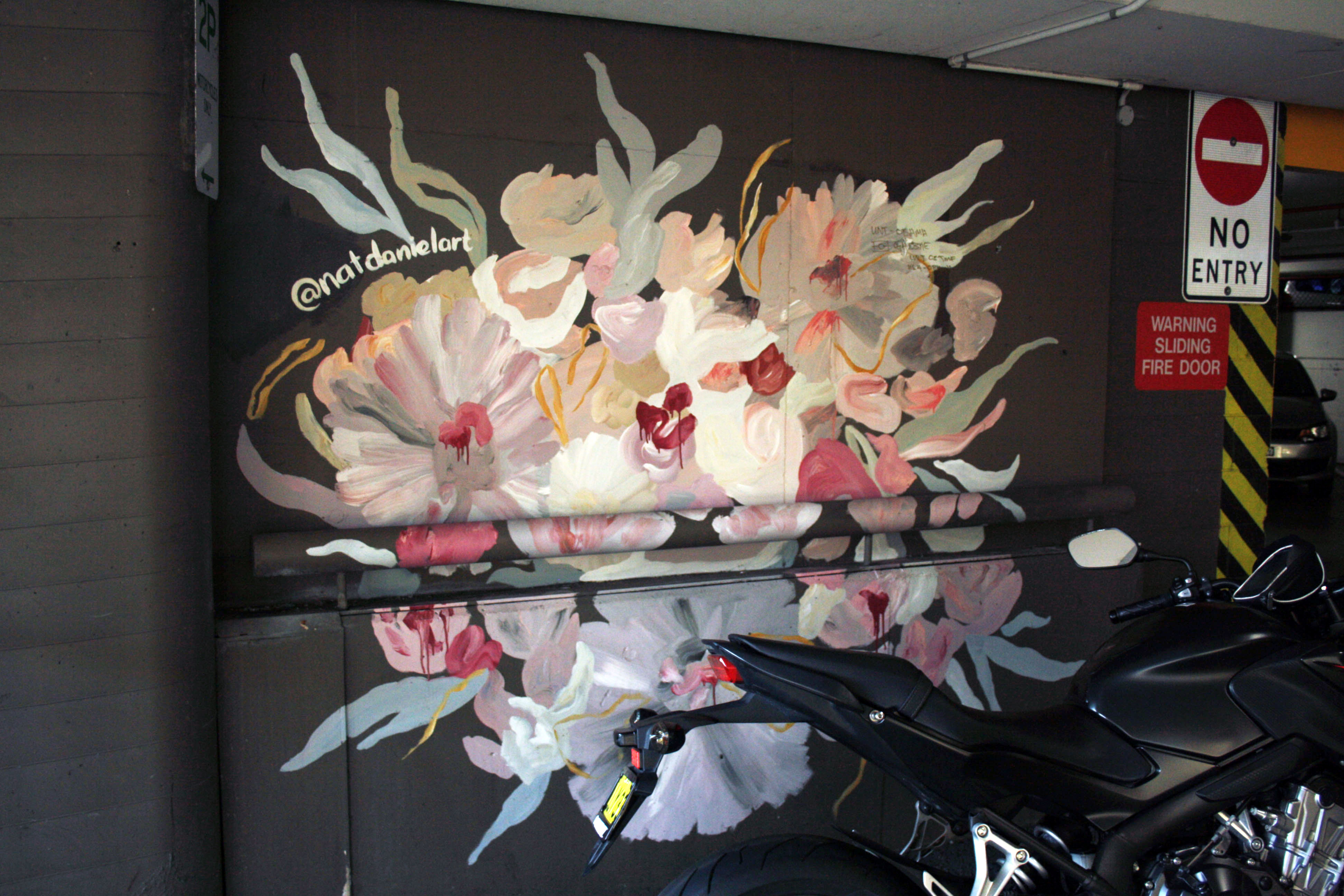 Untitled by Nataliya Daniel | Street Art NSW