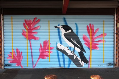 Butcher Bird
