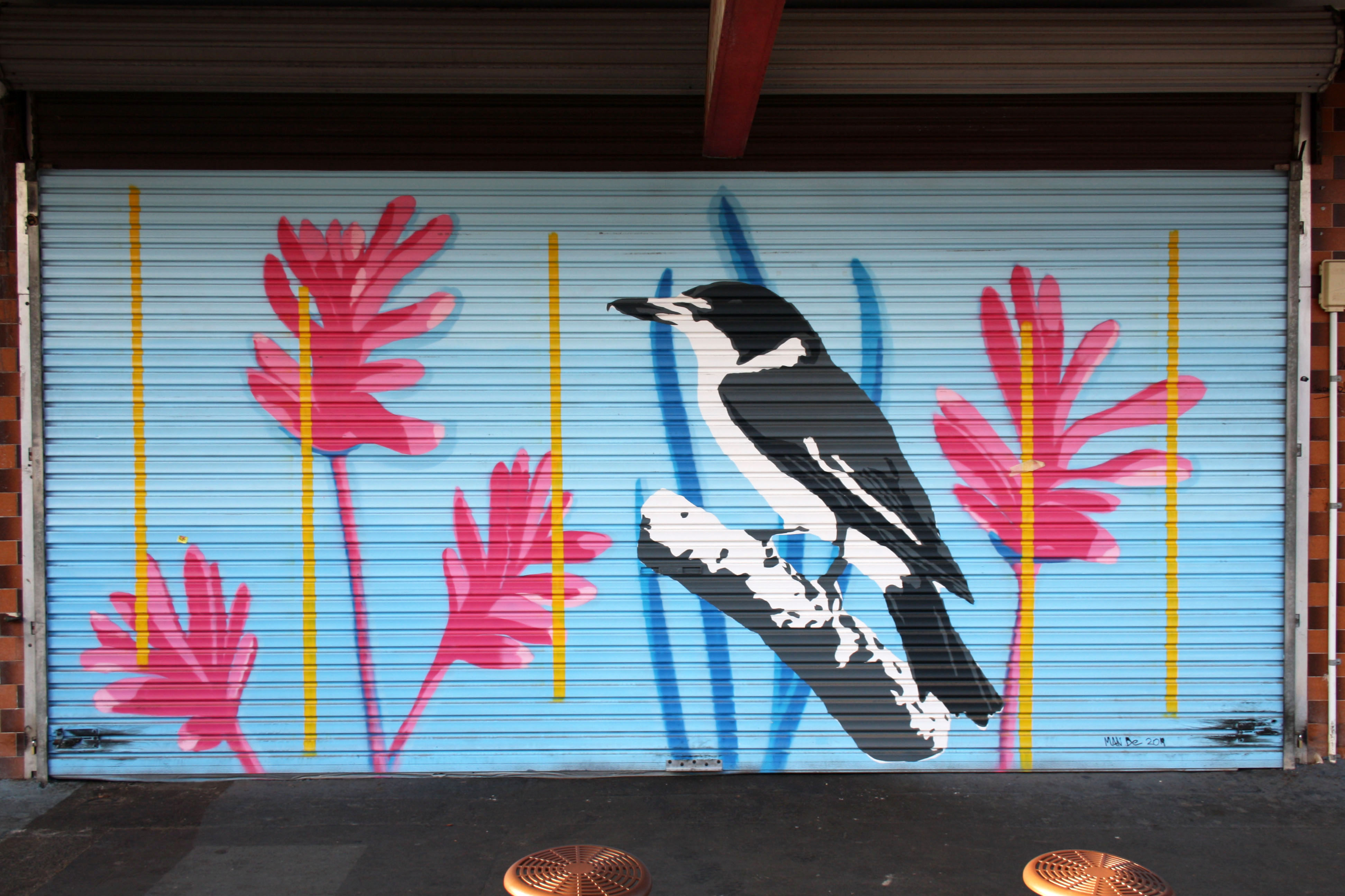 Butcher Bird