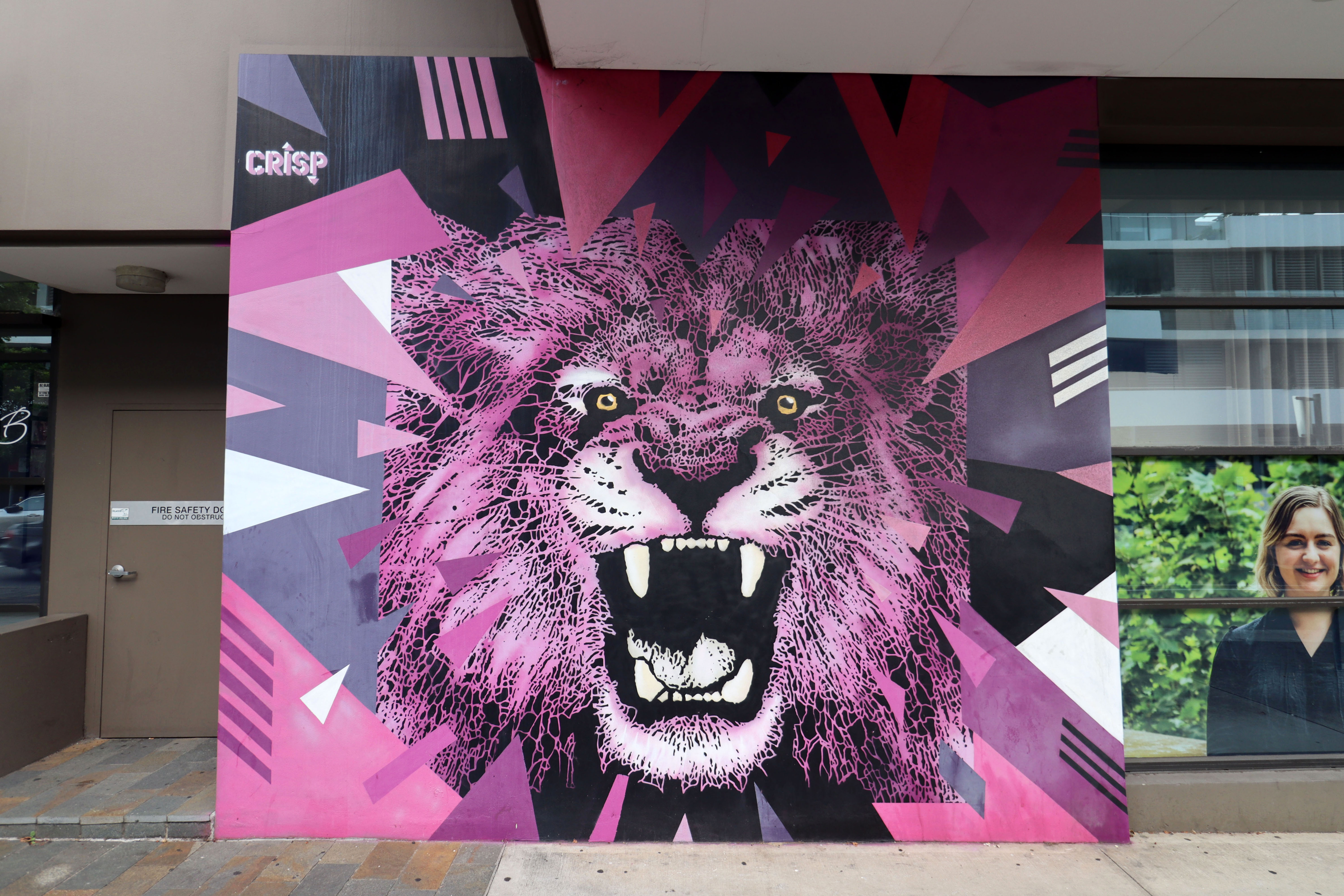 Roaring Life by Crisp | Street Art NSW