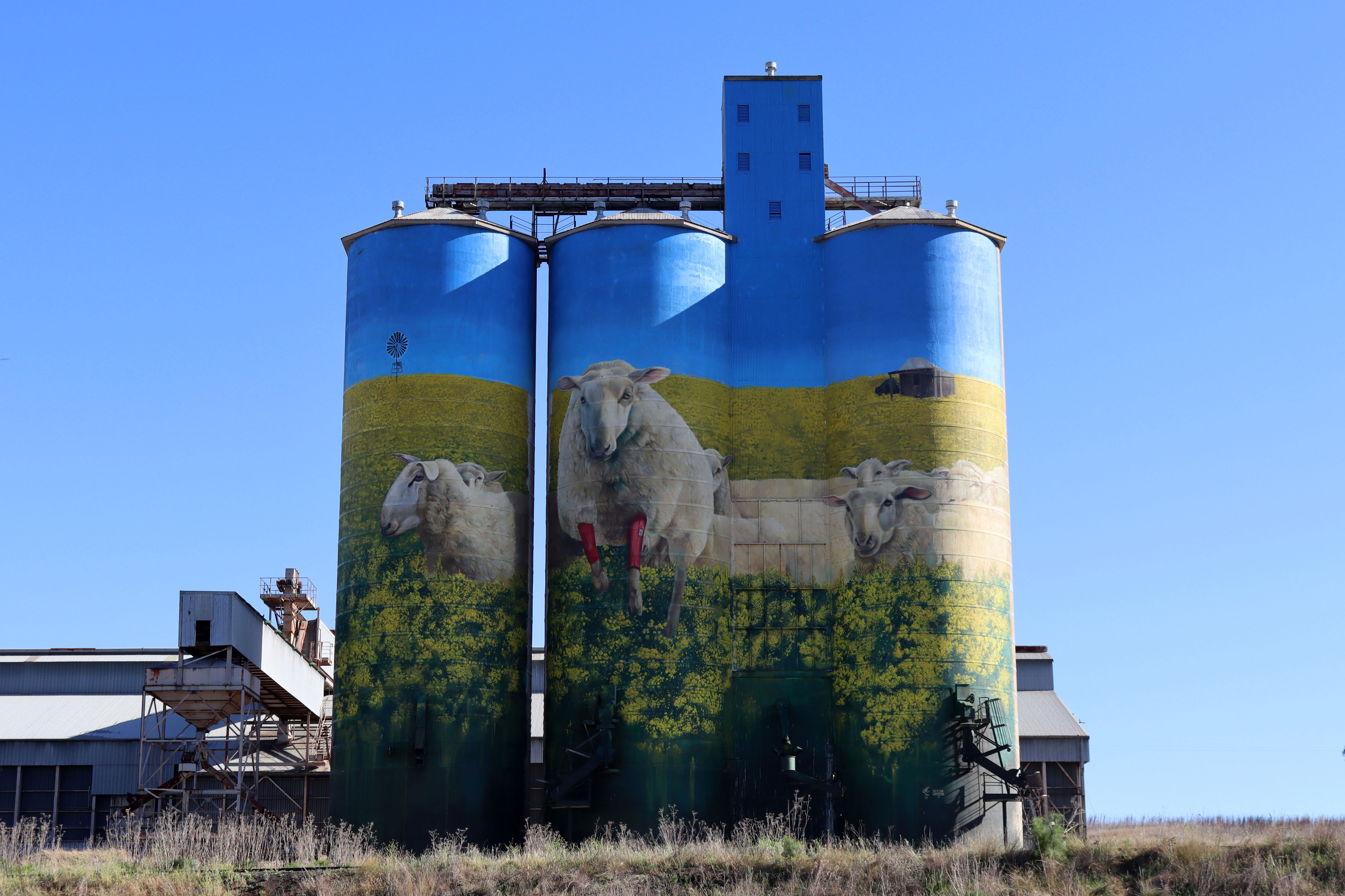 Graincorp Merriwa Silo by David Lee Pereira | Street Art NSW