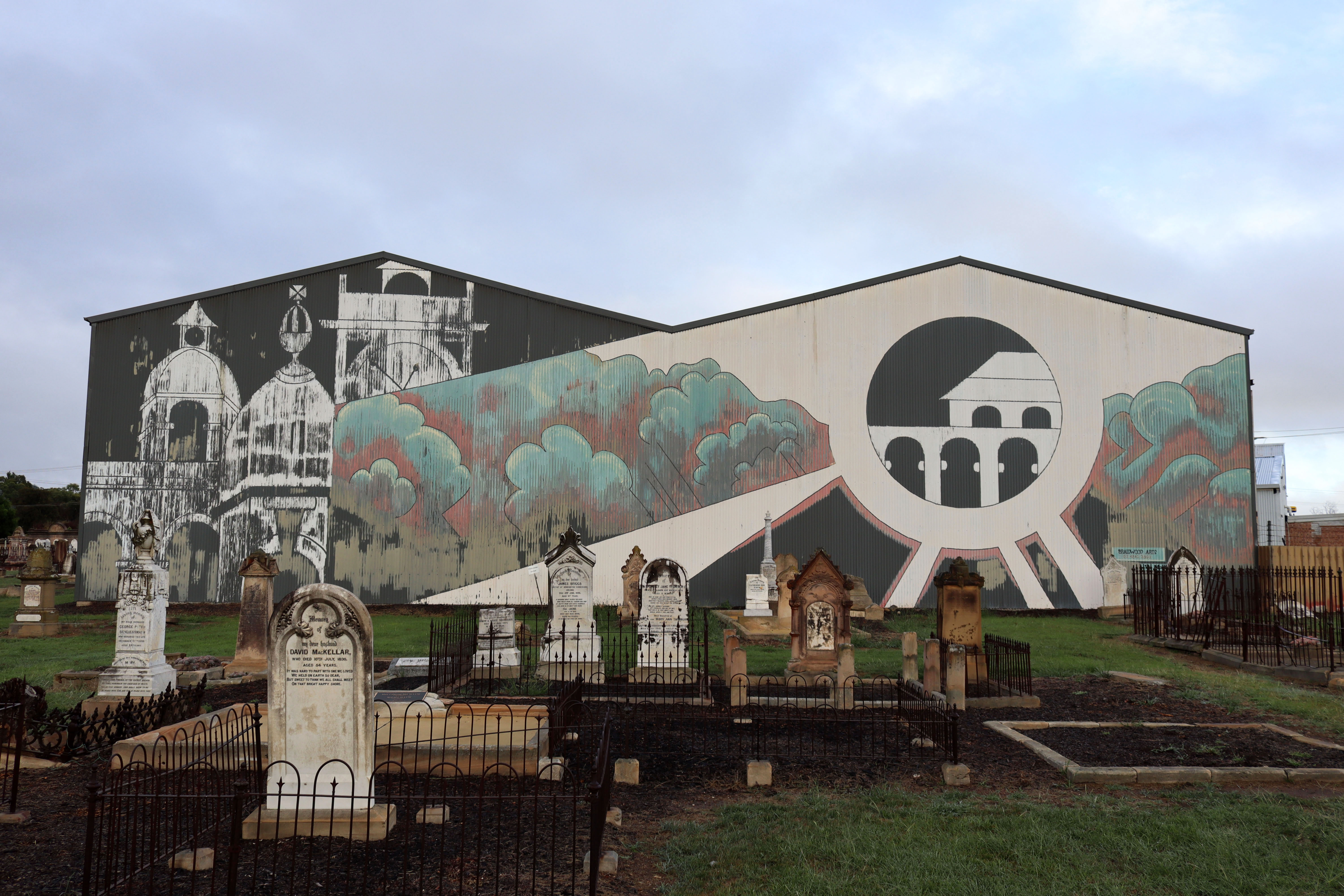 The Big Picture by Fran Ifould | Street Art NSW