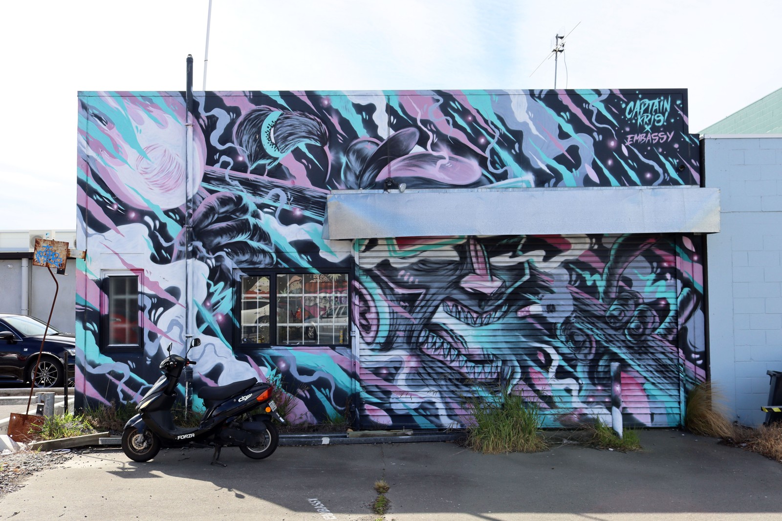 Kiwi Fire by Captain Kris | Street Art NSW