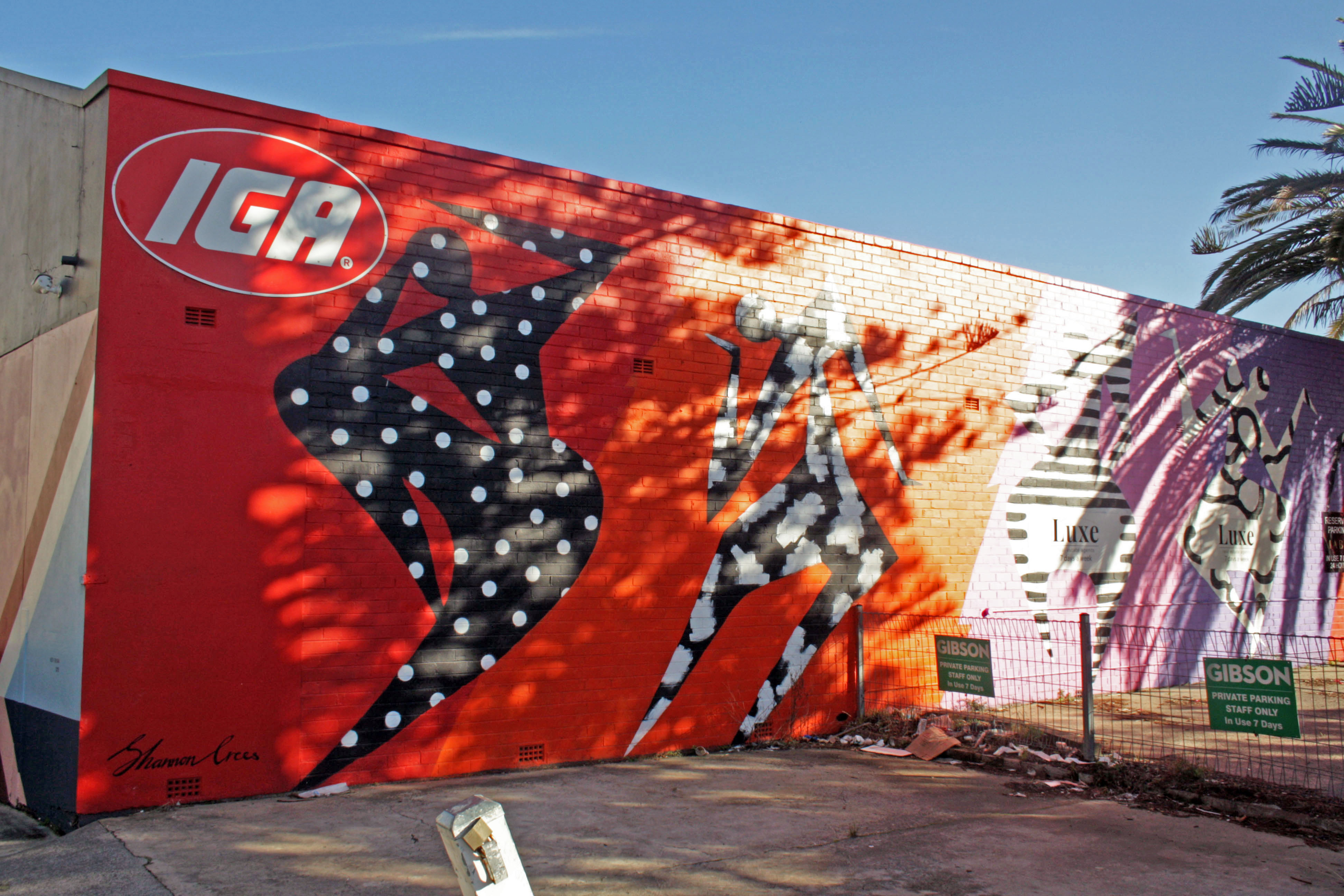 Untitled by Shannon Crees | Street Art NSW