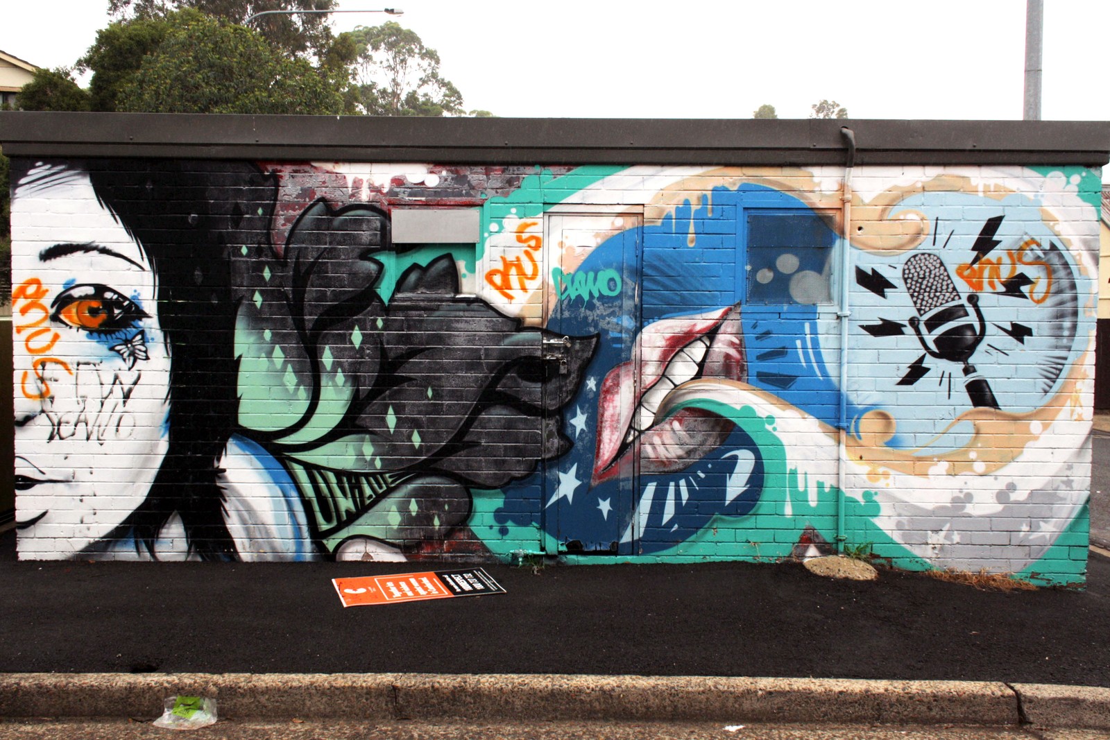 Unique | Street Art NSW