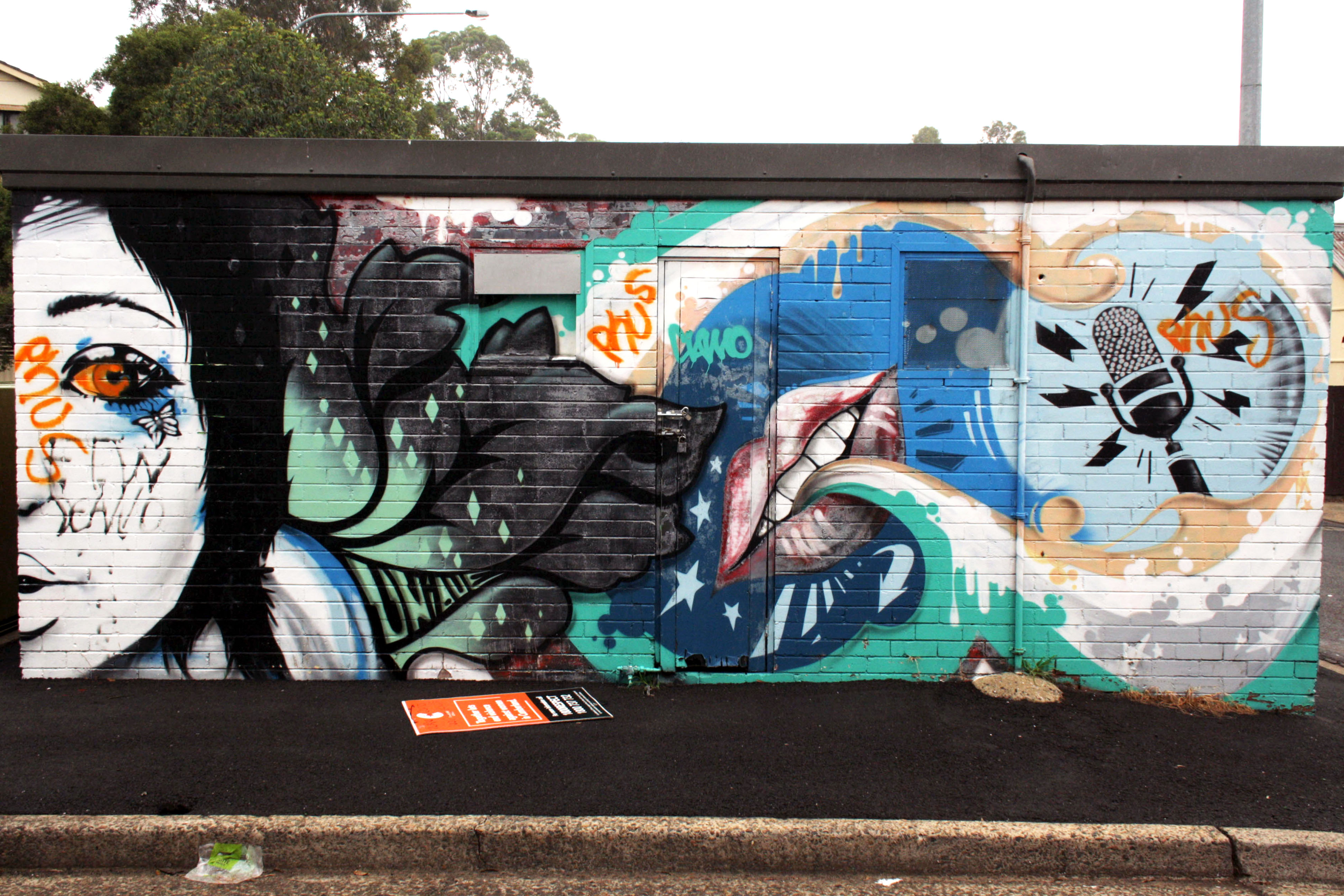 Unique | Street Art NSW