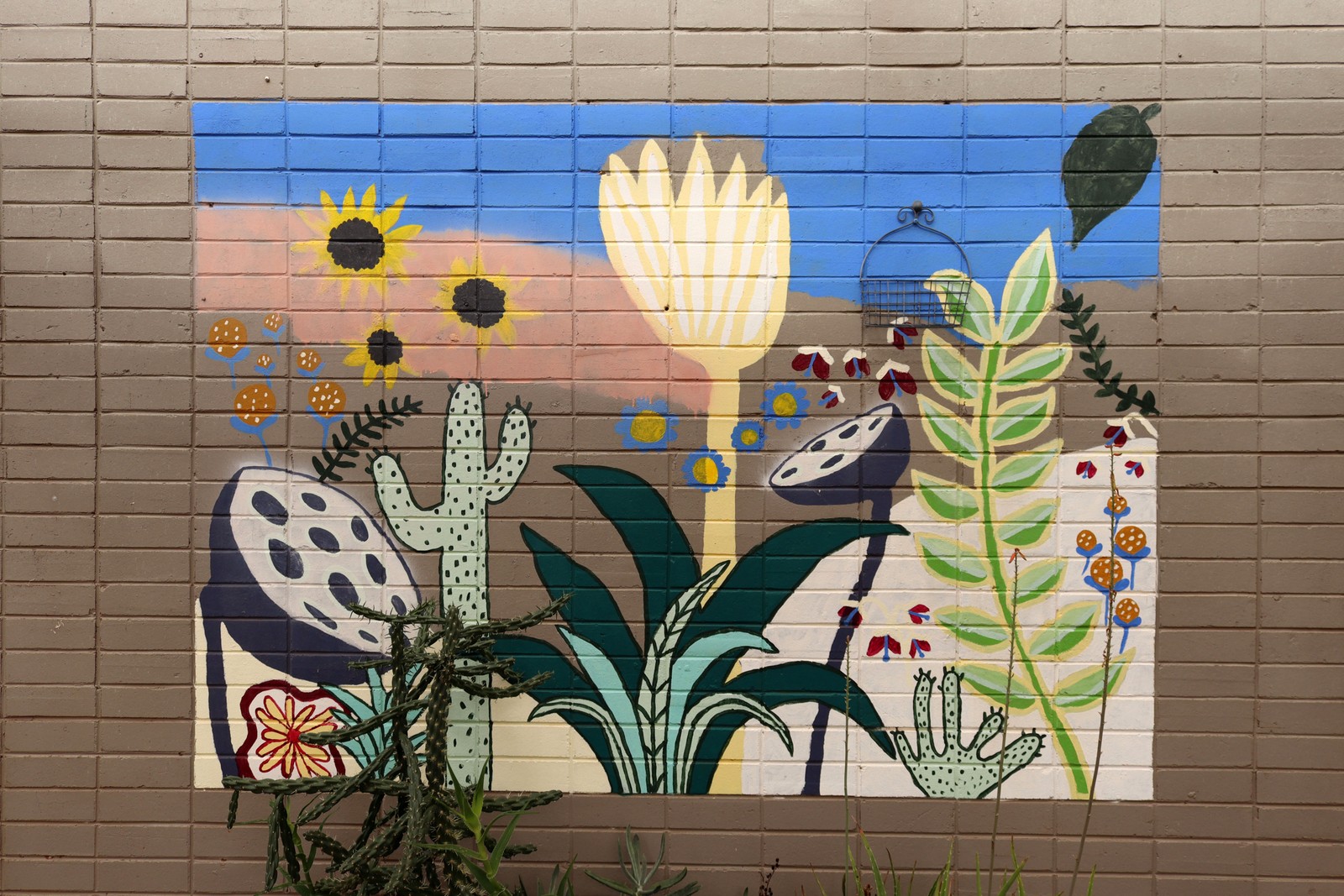 Untitled | Street Art NSW