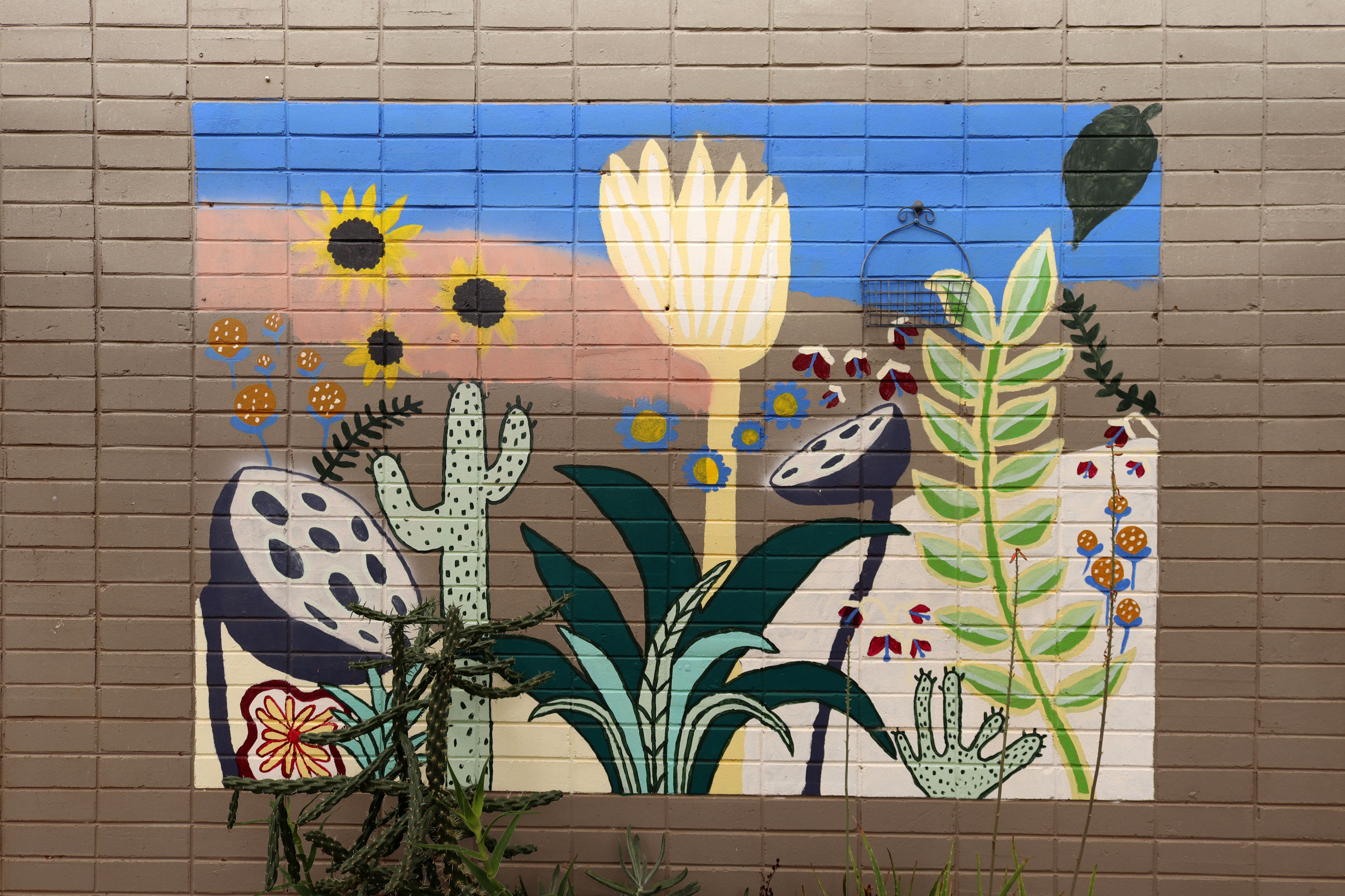 Untitled | Street Art NSW