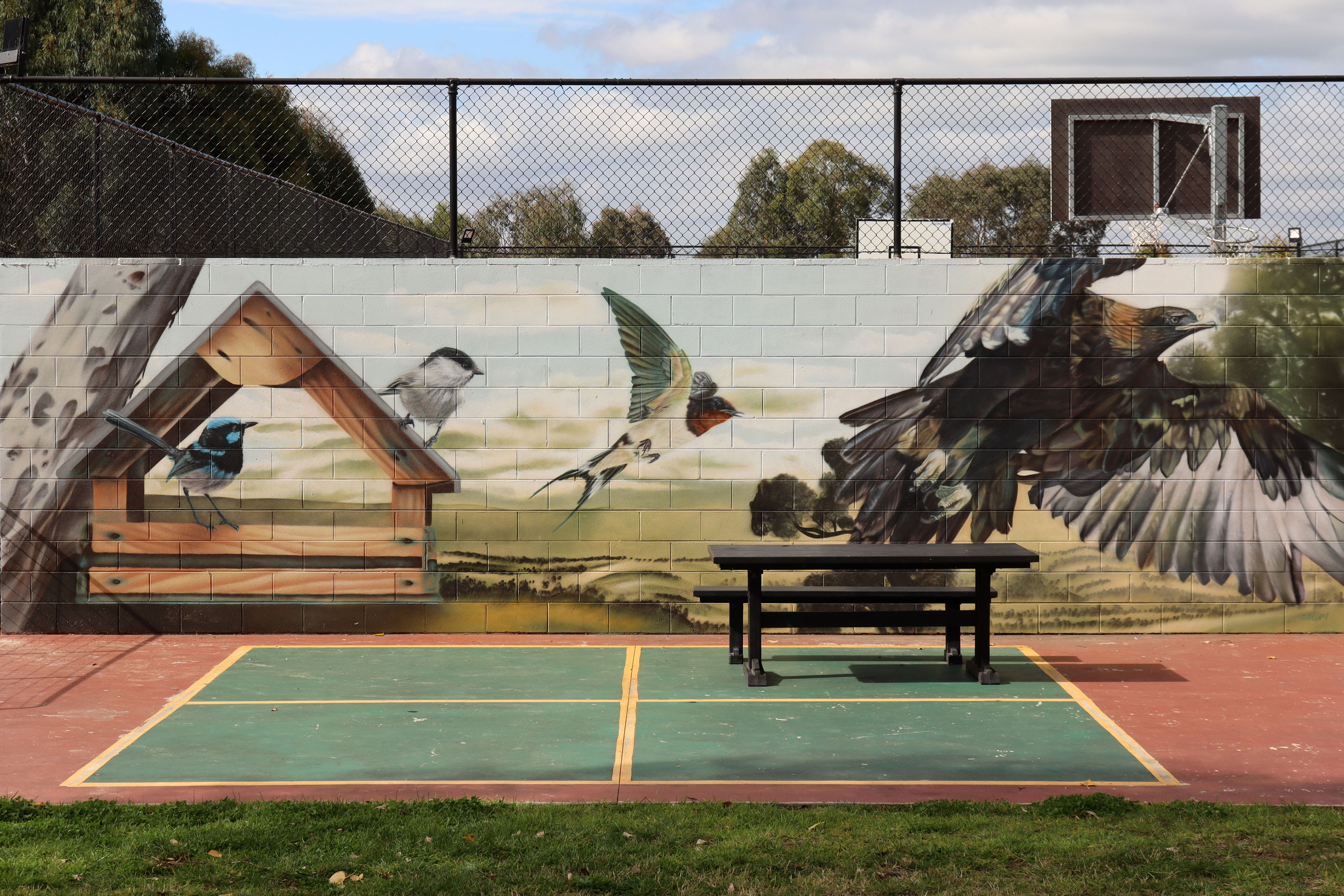 Take Flight, Chase Your Dreams by Calum Hotham | Street Art NSW