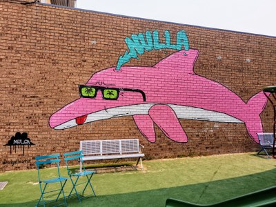 Dolphin Pete