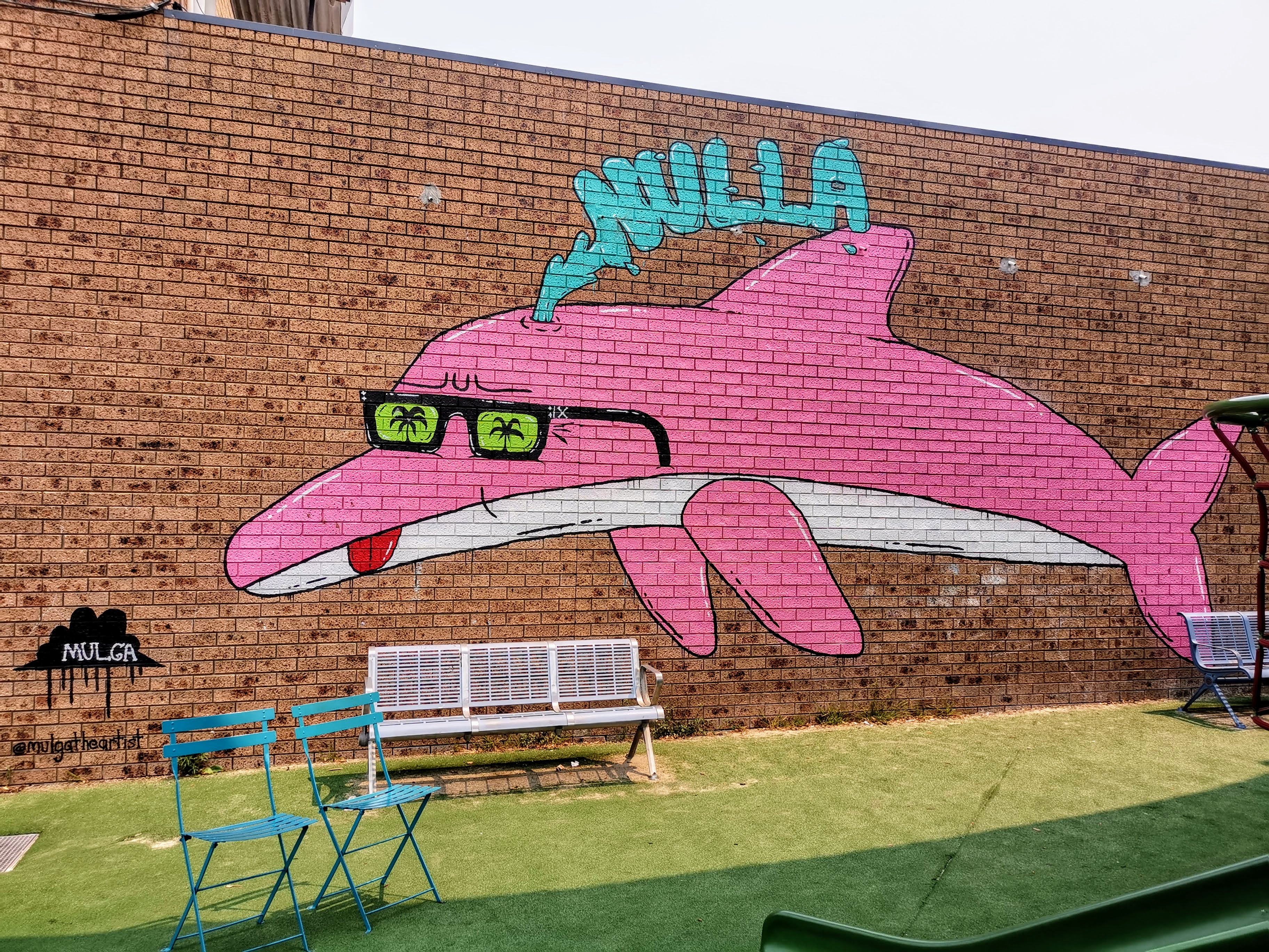 Dolphin Pete