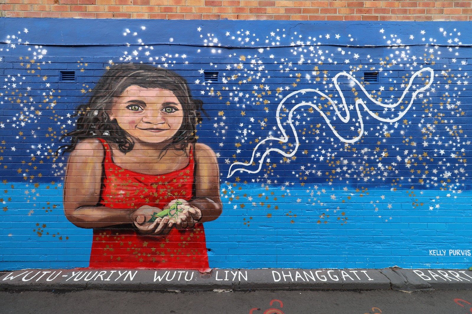 Wutu-Yuuriyn Wutu Liyn Dhanggati by Kelly Purvis | Street Art NSW