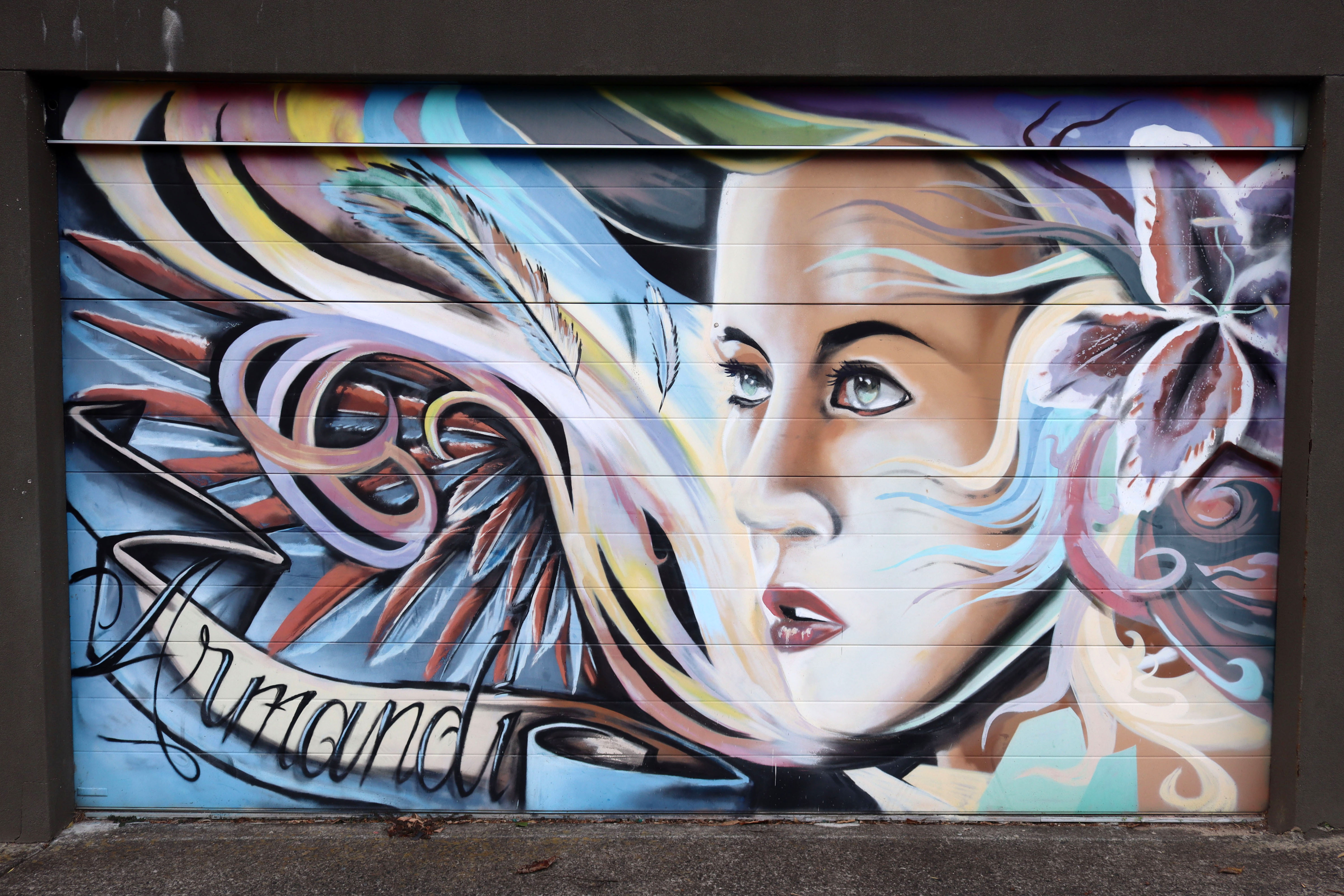 Armandi by Warrick McMiles | Street Art NSW