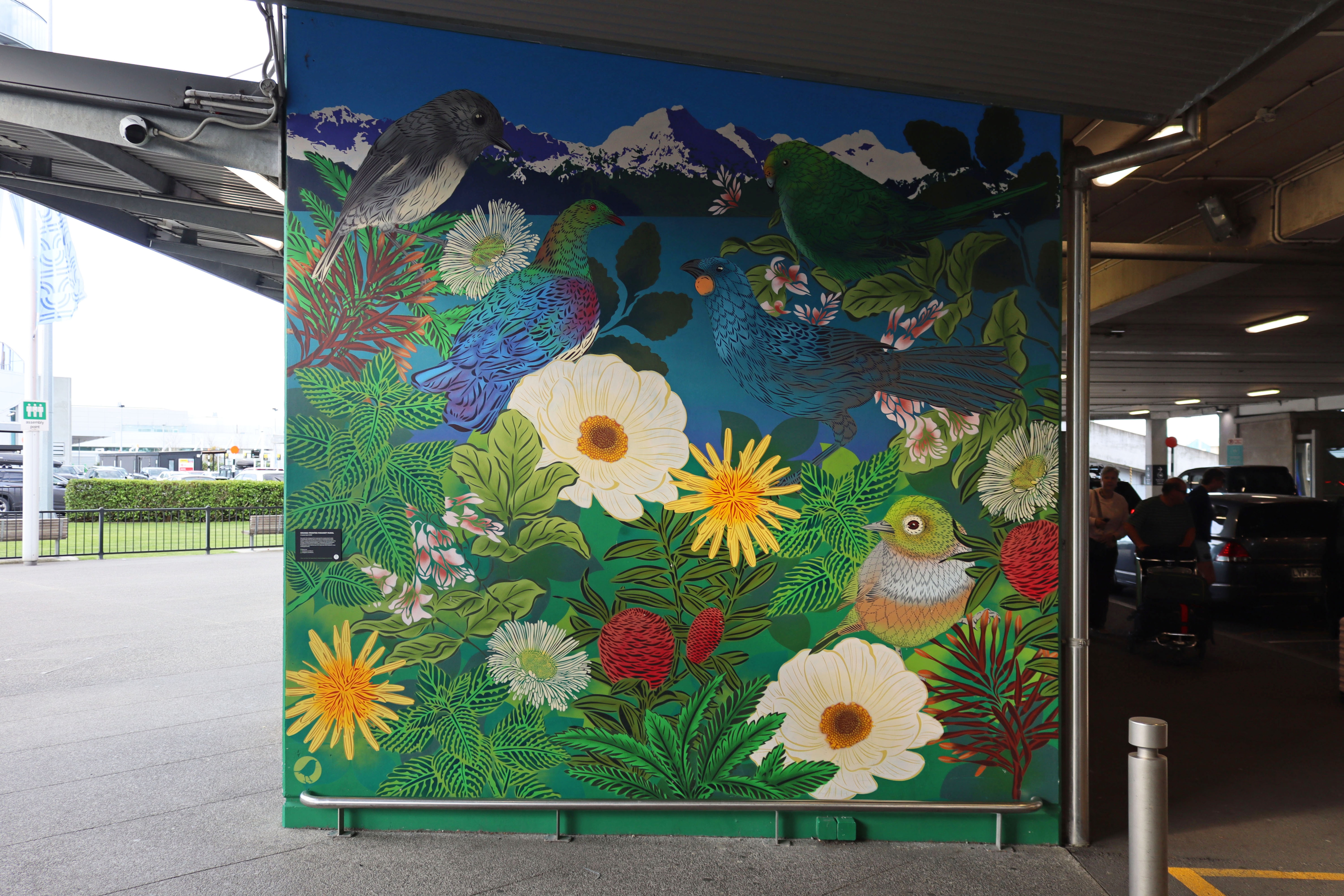 Orange-Fronted Parakeet Mural