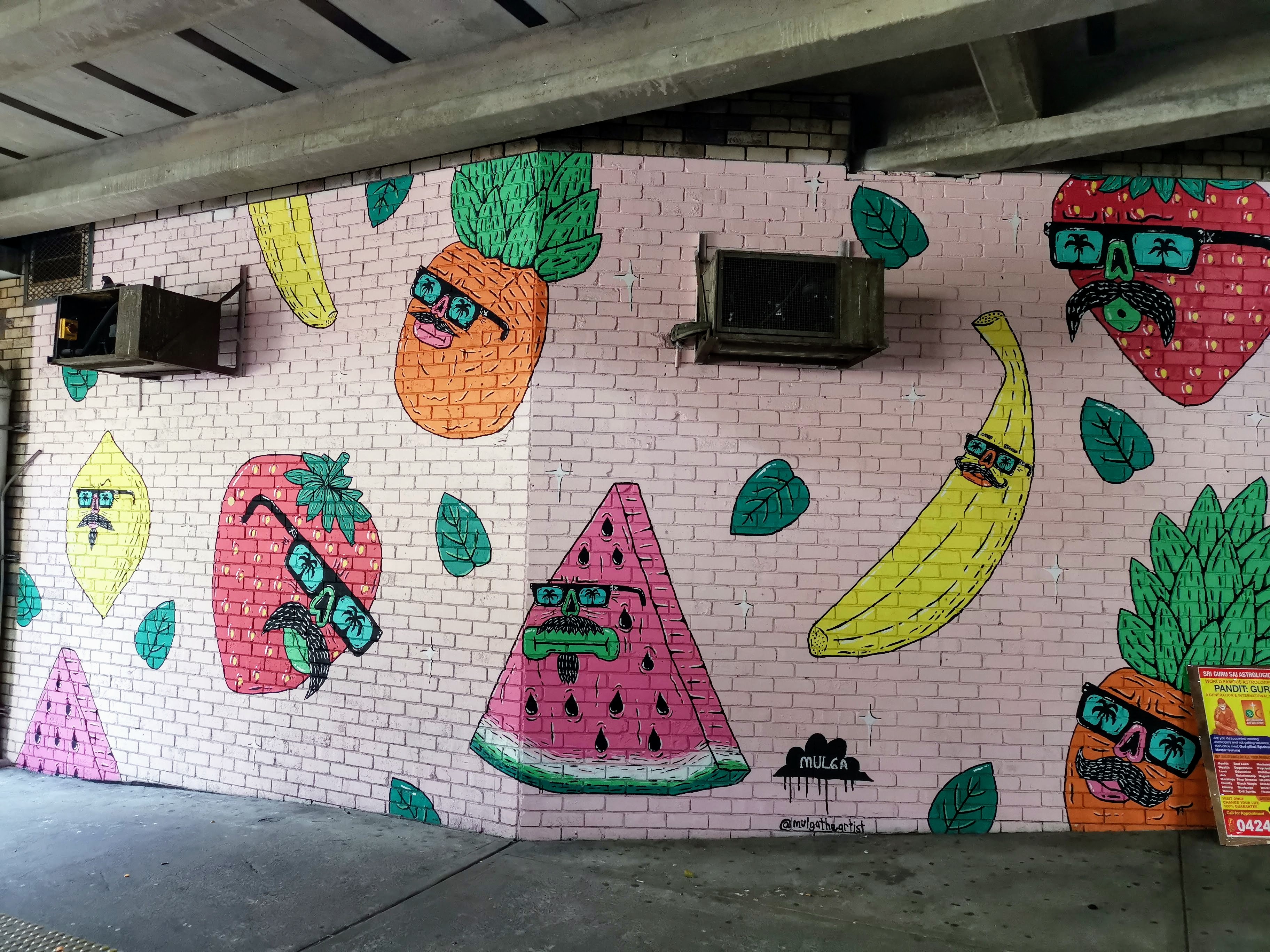 The Fruit Bunch Gang by Mulga | Street Art NSW