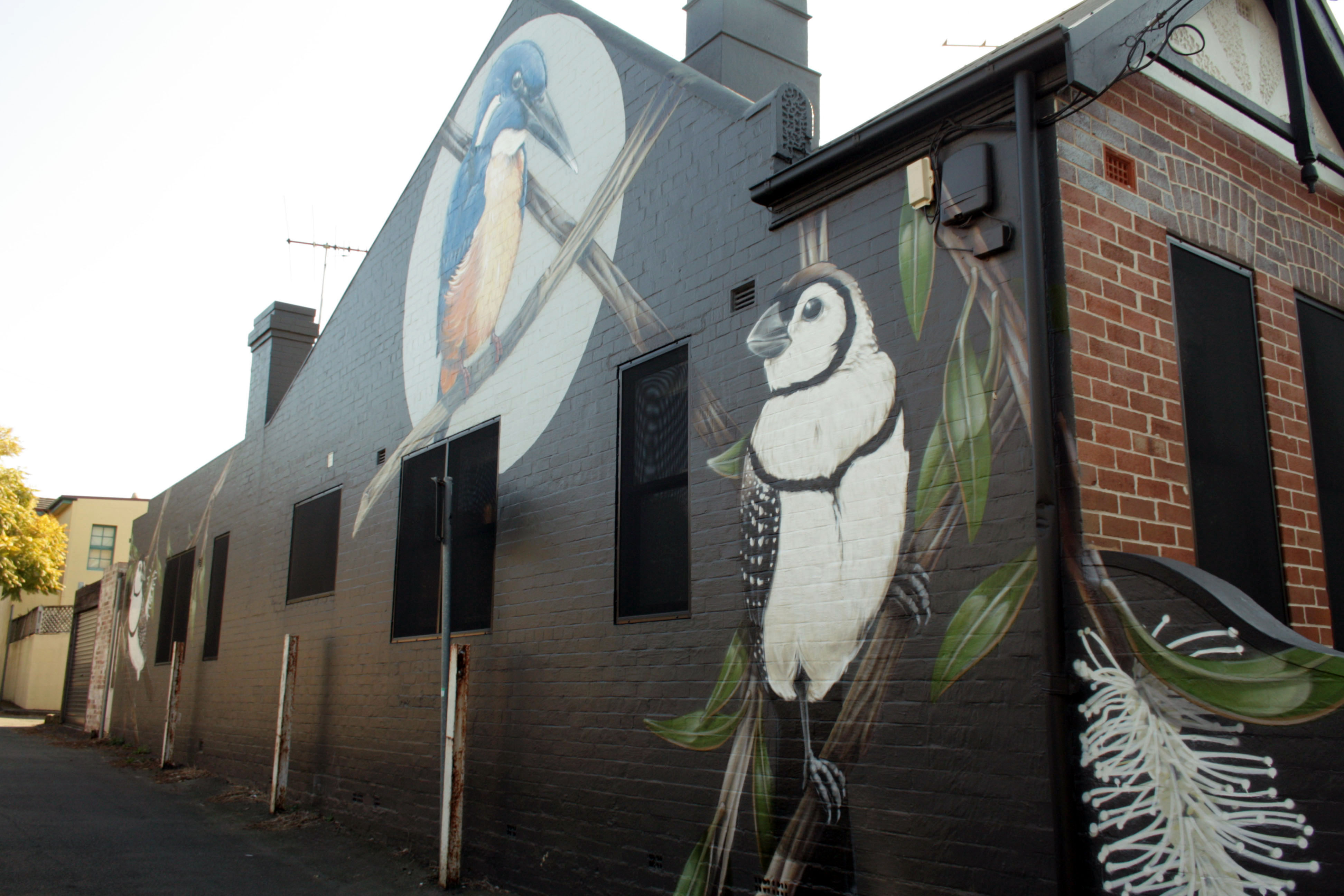 Owl Faced Kings