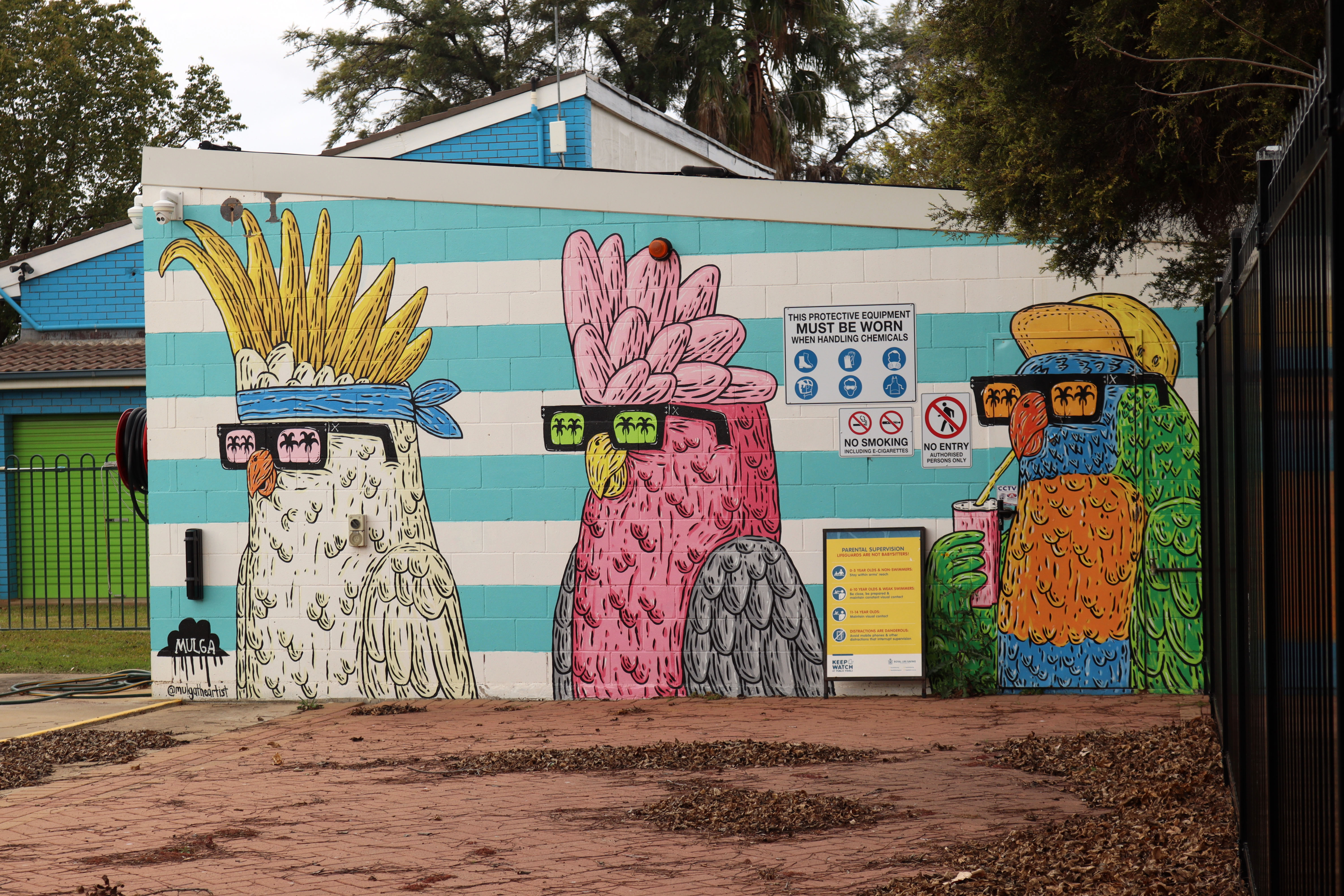 Untitled by Mulga | Street Art NSW