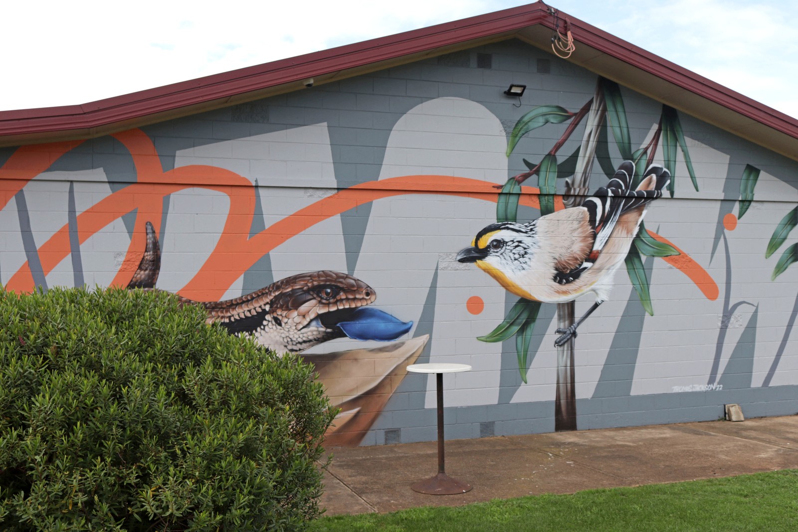 Blue Tongue Lizard and Striated Pardalote by Thomas Jackson | Street Art NSW