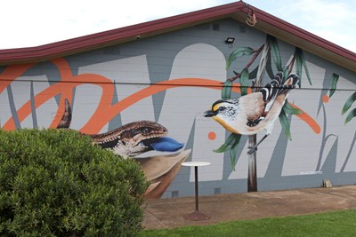 Blue Tongue Lizard and Striated Pardalote