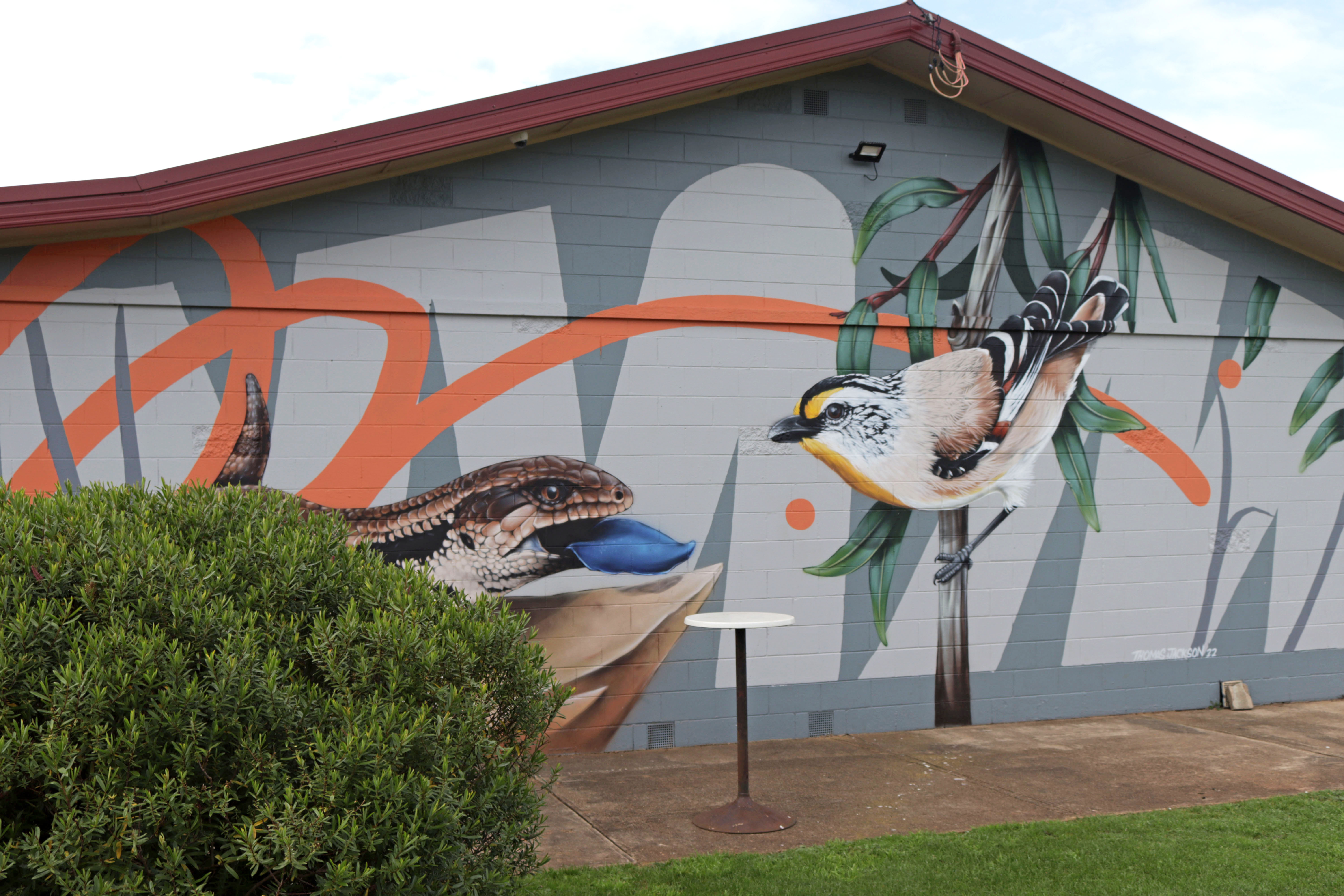 Blue Tongue Lizard and Striated Pardalote