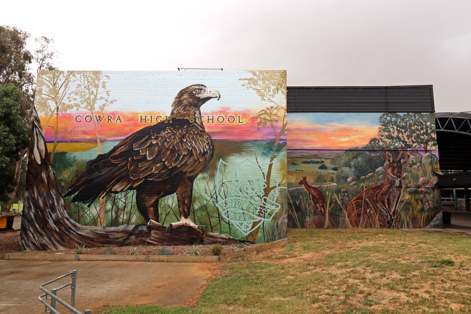 Wedge-tailed Eagle by Drapl | Street Art NSW