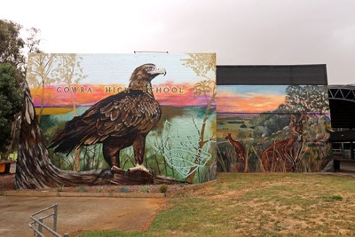 Wedge-tailed Eagle