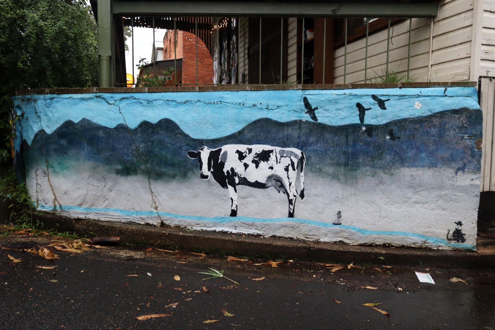 Untitled | Street Art NSW