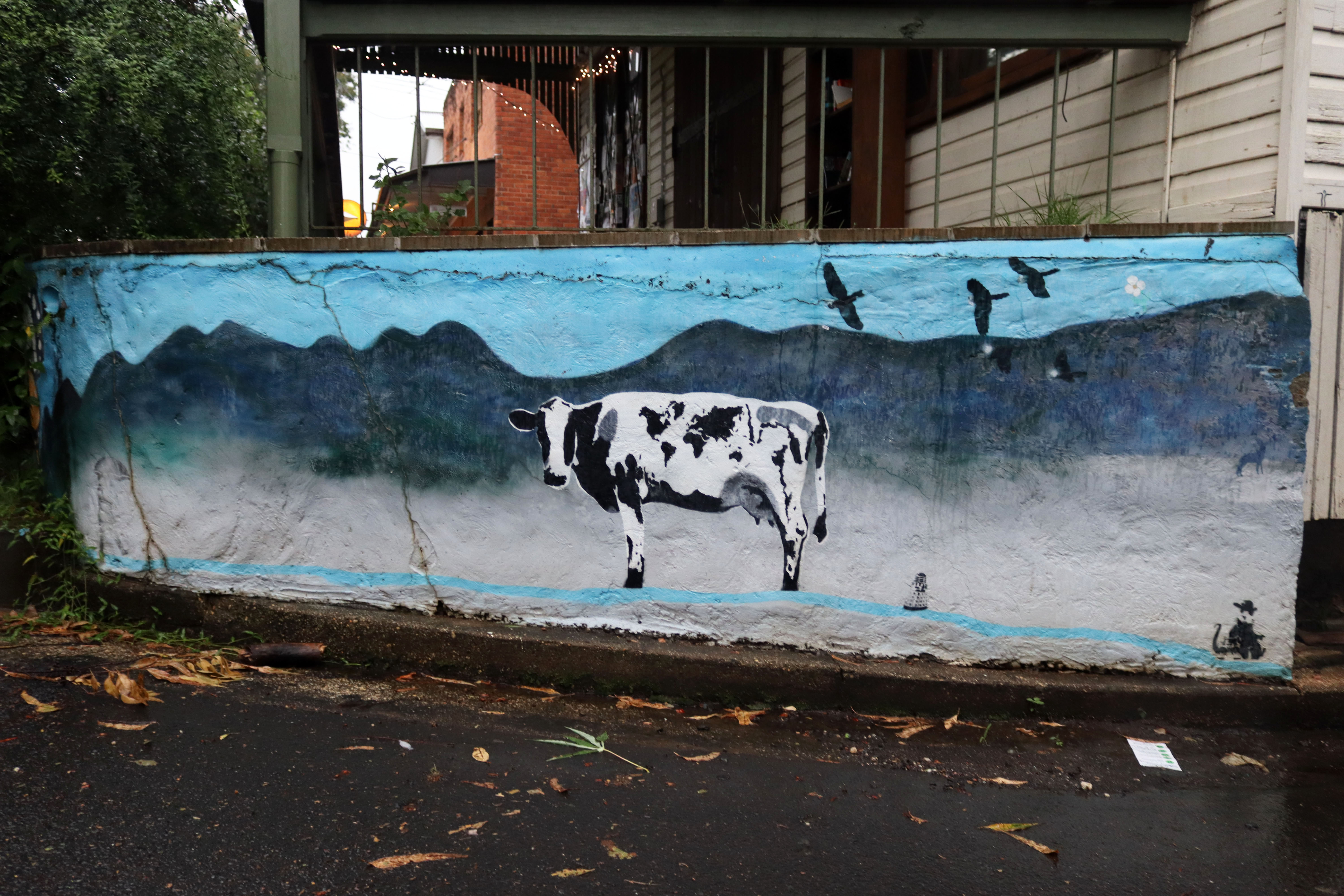 Untitled | Street Art NSW