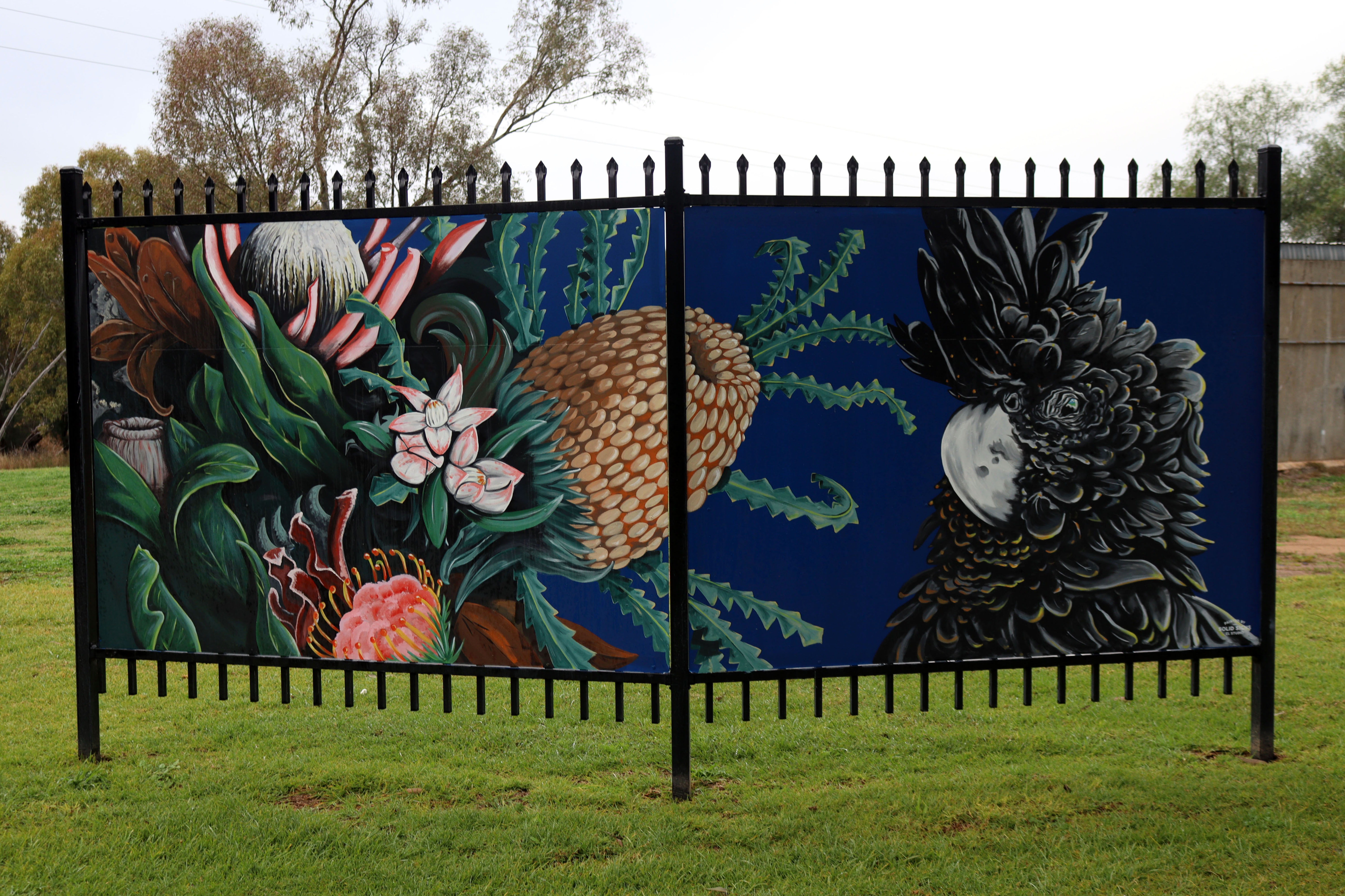 Untitled by Solid Signs | Street Art NSW