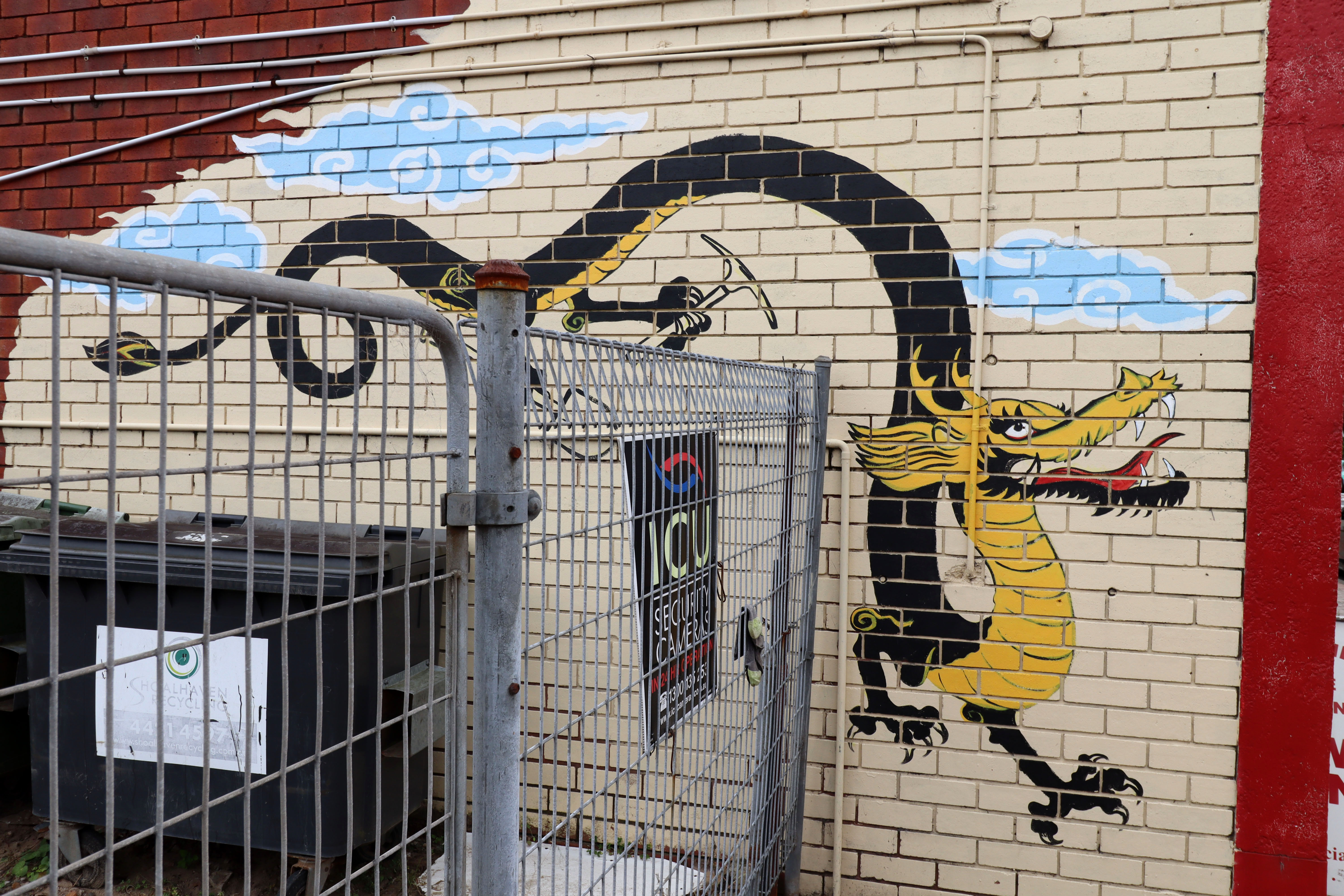 Dragon | Street Art NSW