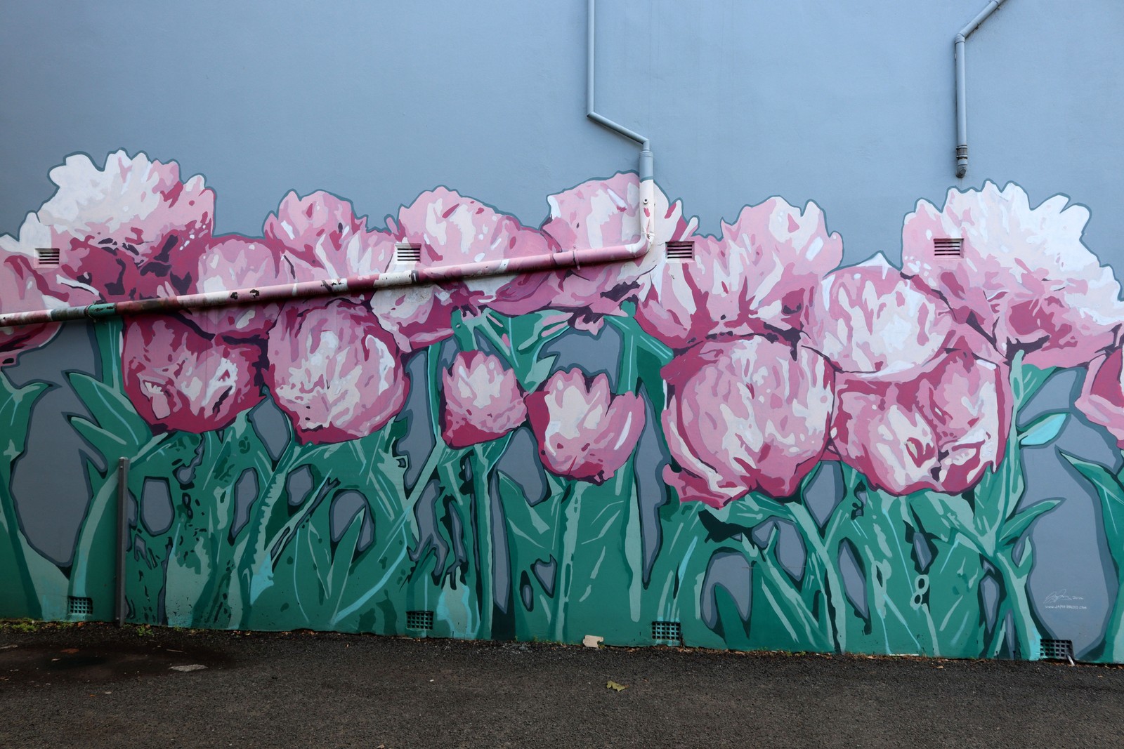 Peony Wall by Jamie Preisz | Street Art NSW