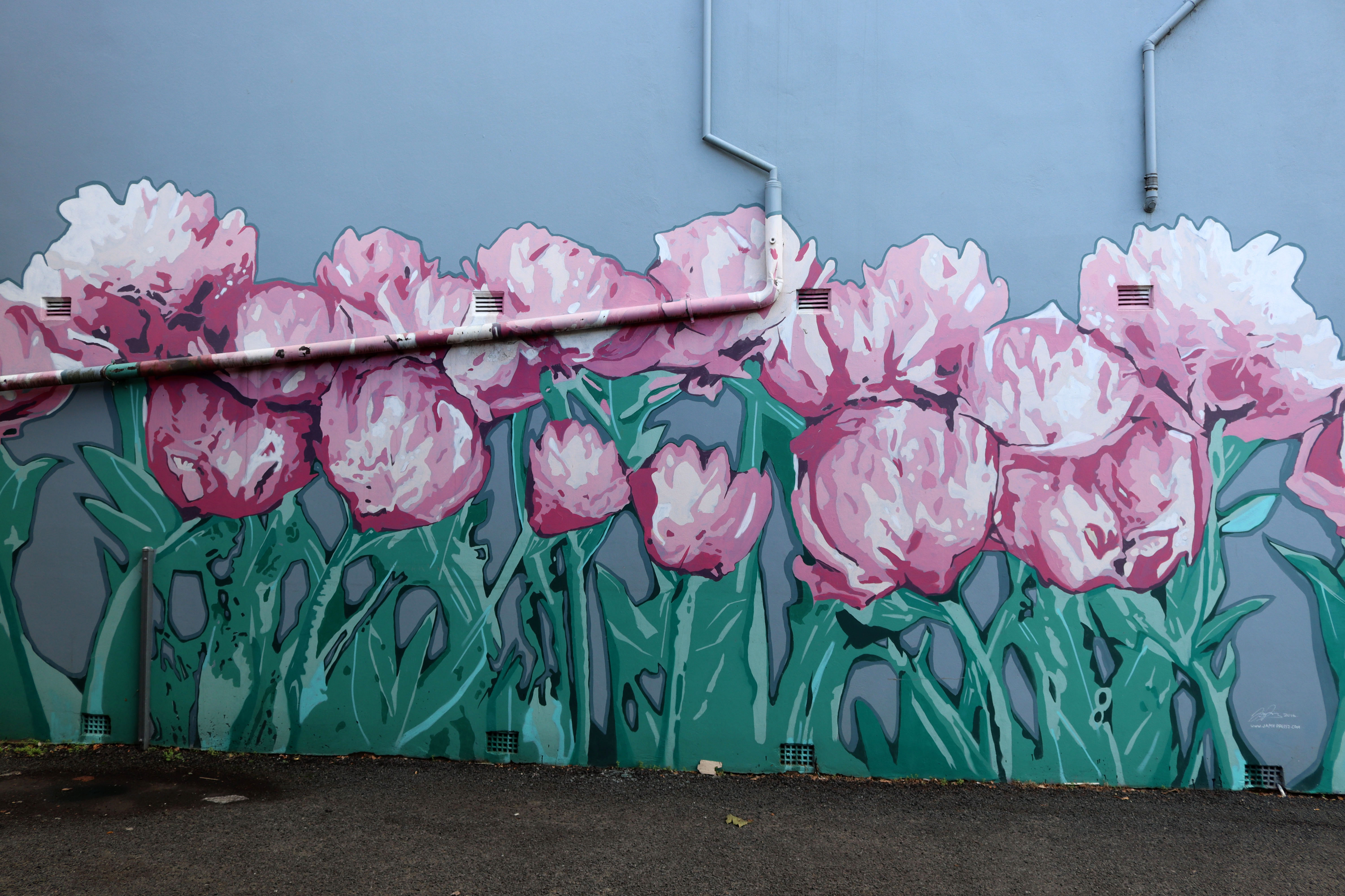 Peony Wall