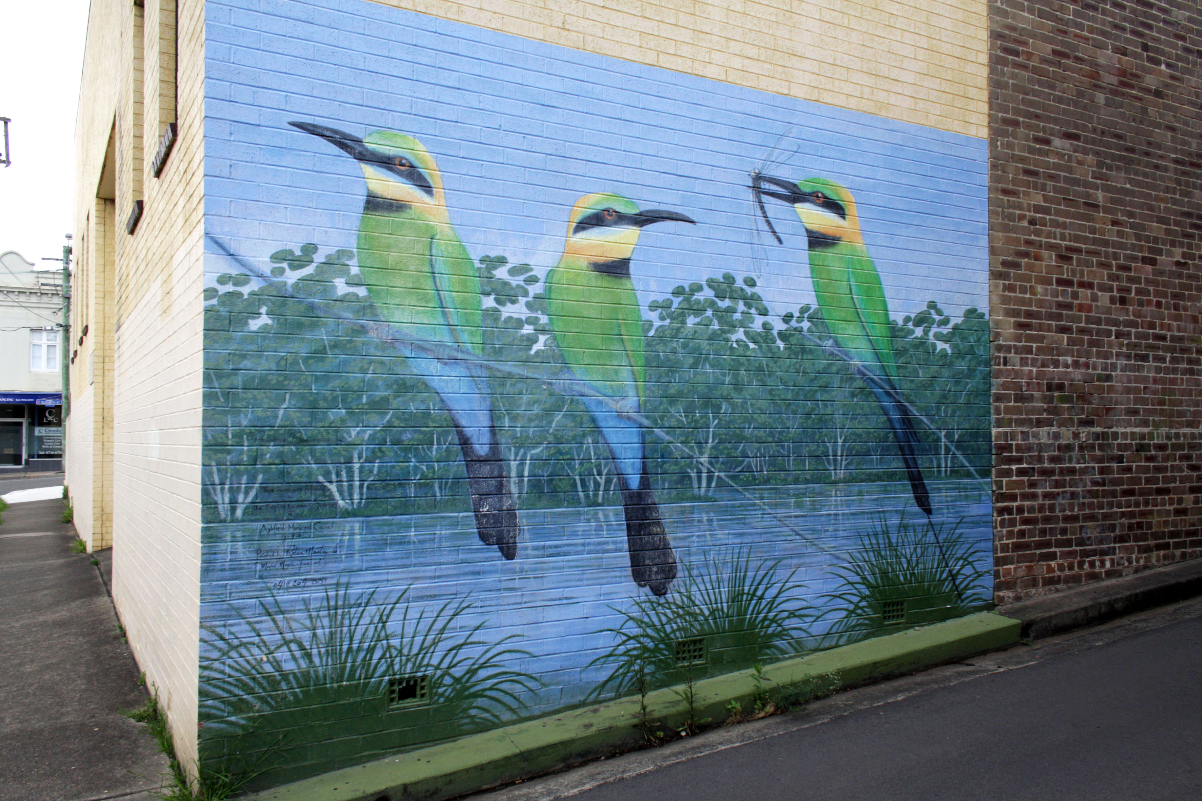 Rainbow Bee-eater by Robin Martin | Street Art NSW