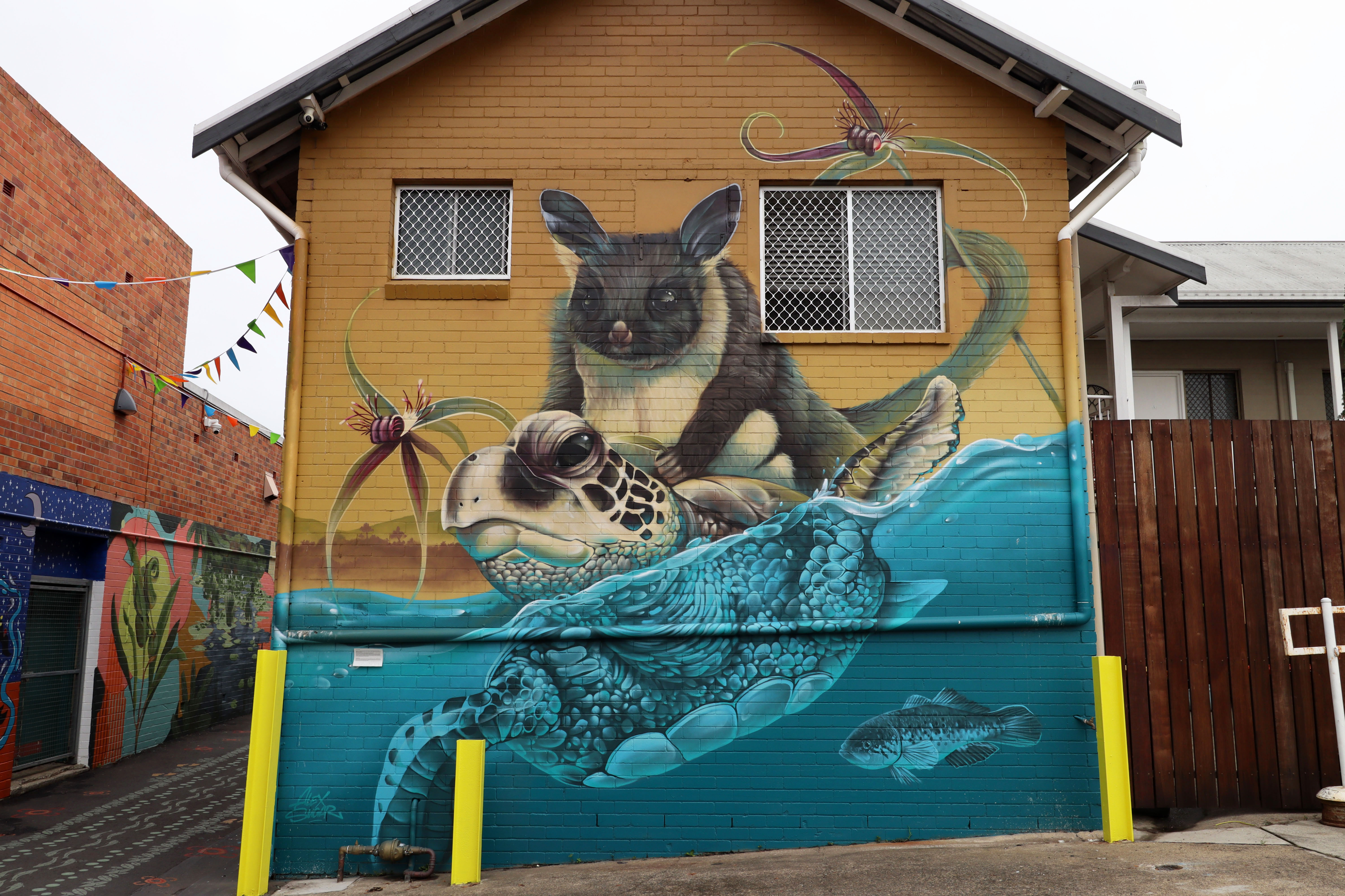 From the Mountains to the Sea by Alex Sugar | Street Art NSW