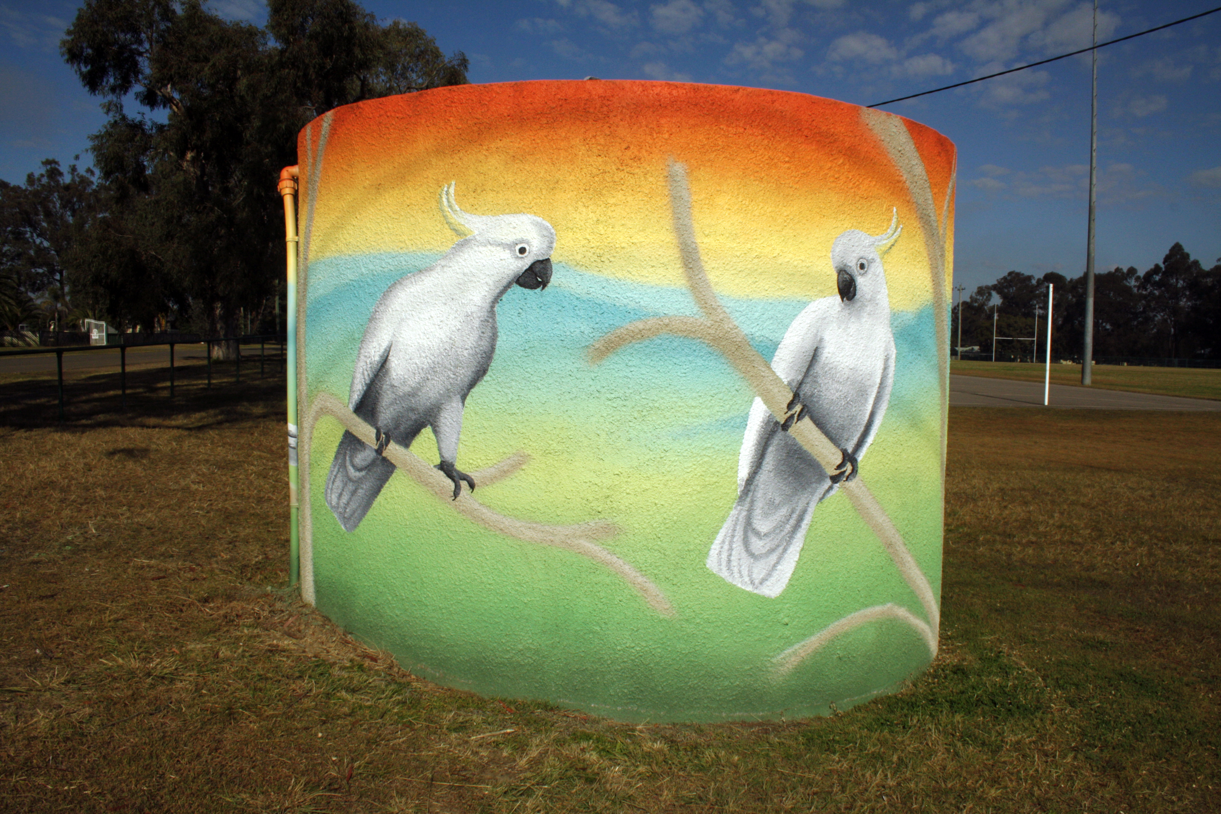 Untitled by Barefeet Art | Street Art NSW