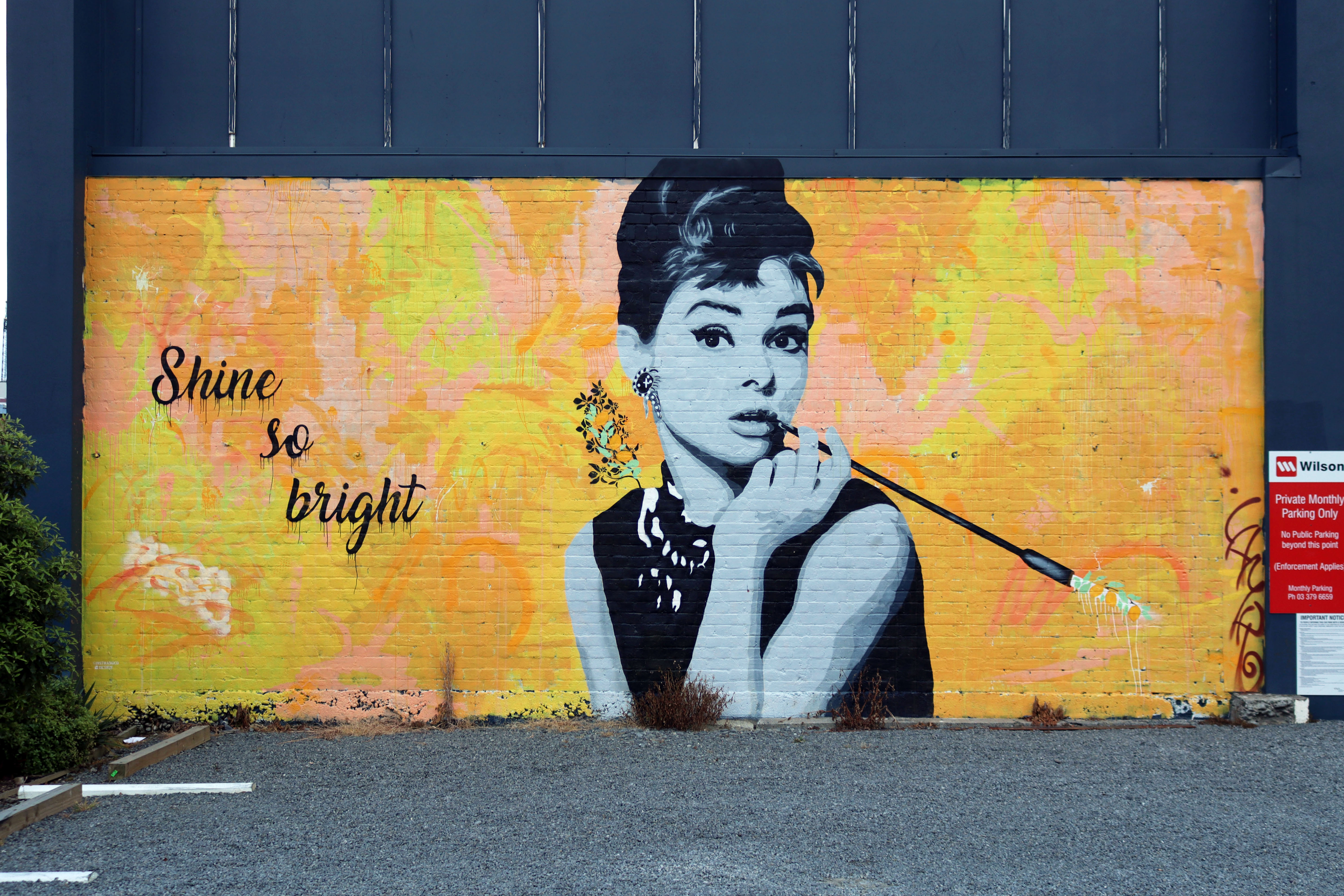 Shine So Bright by Jacob Root | Street Art NSW