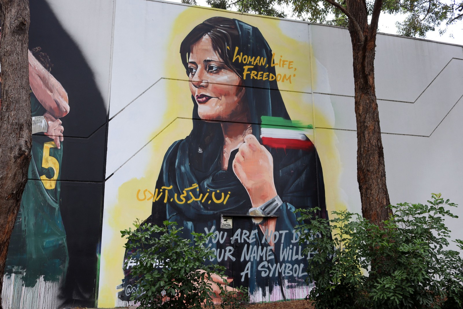 Woman, Life, Freedom by Scott Marsh | Street Art NSW